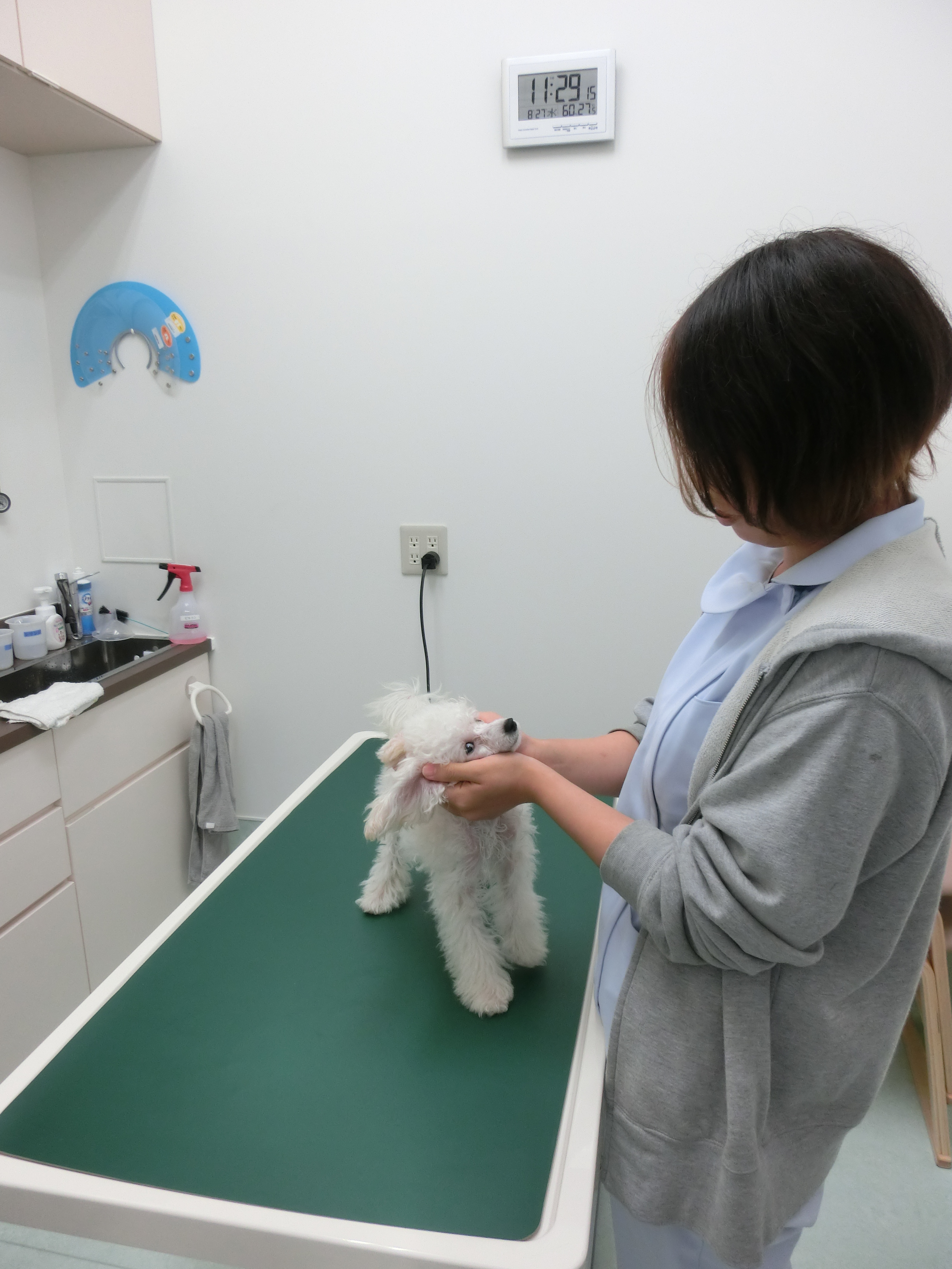 馬場さん&がっつ 馬場さん&がっつ