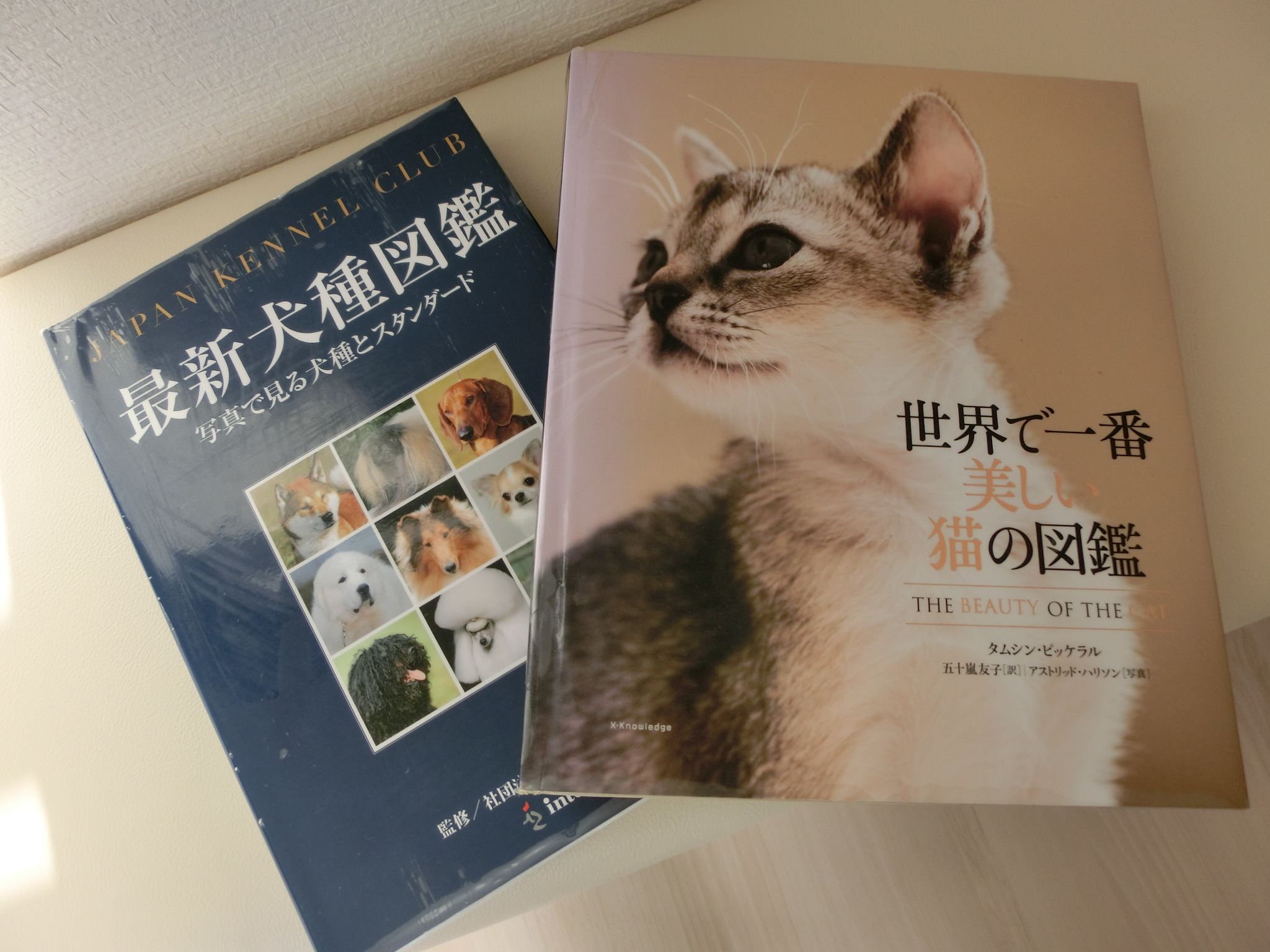 犬猫図鑑 犬猫図鑑