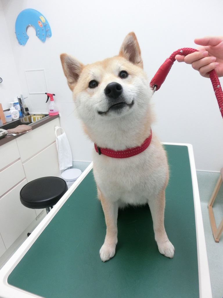 うめちゃん うめちゃん