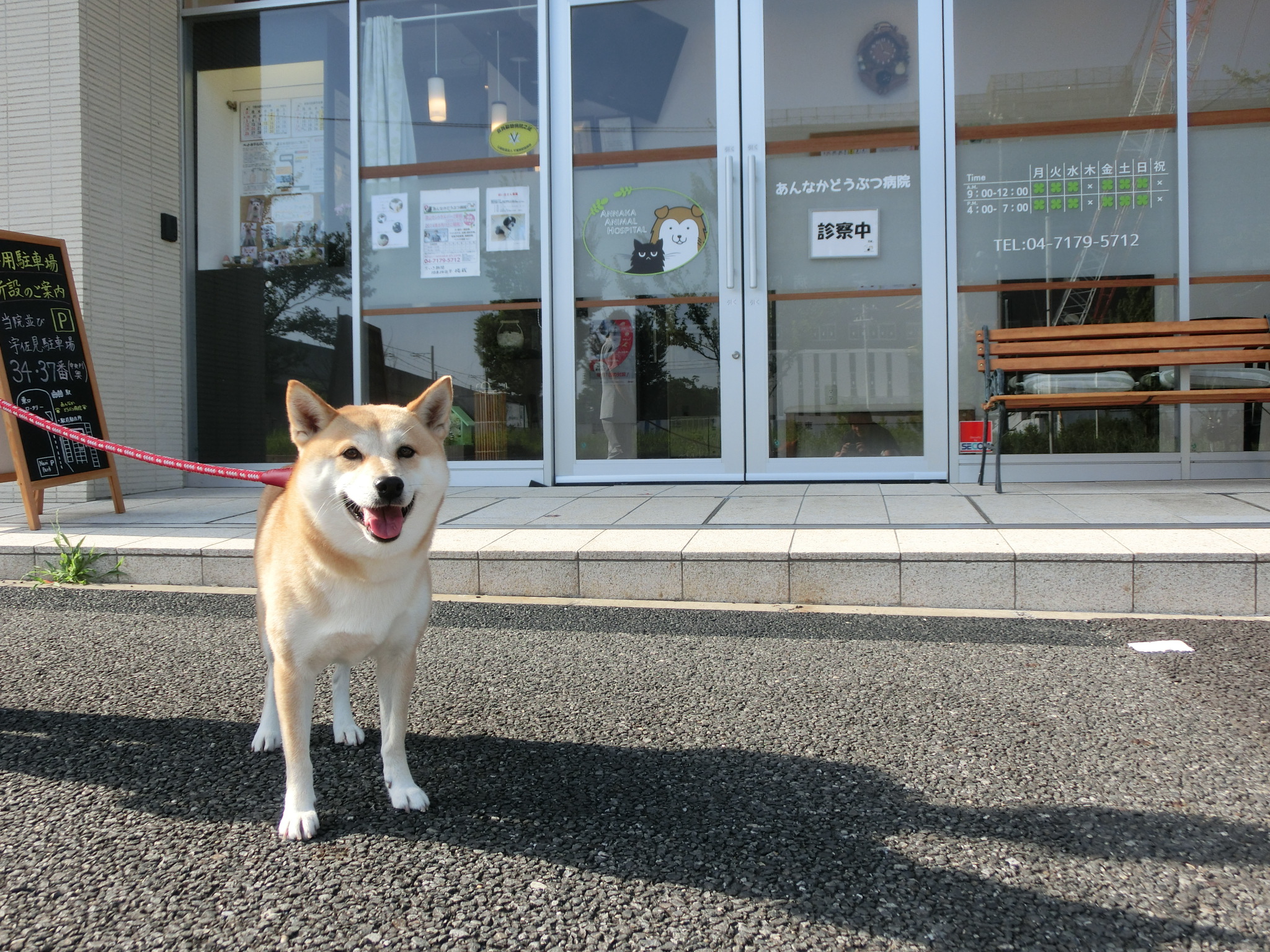 おはぎ3 おはぎ3