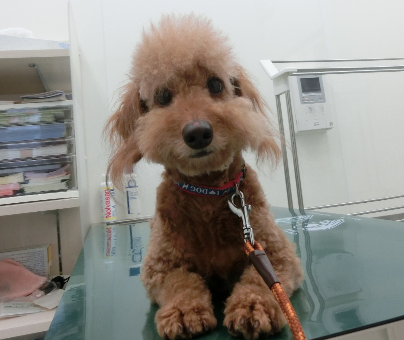 小南モコ 小南モコ