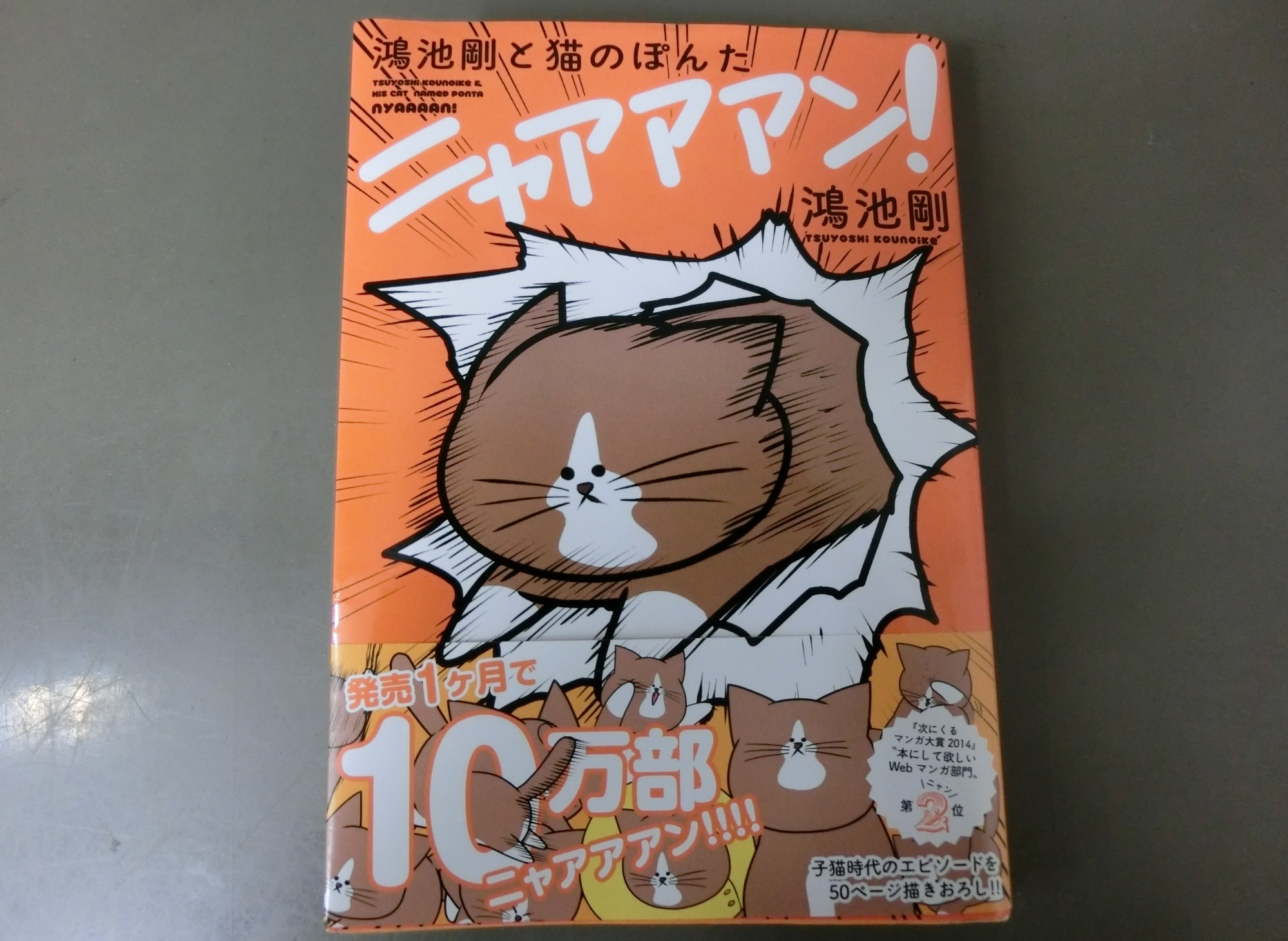 ニャアアアン ニャアアアン