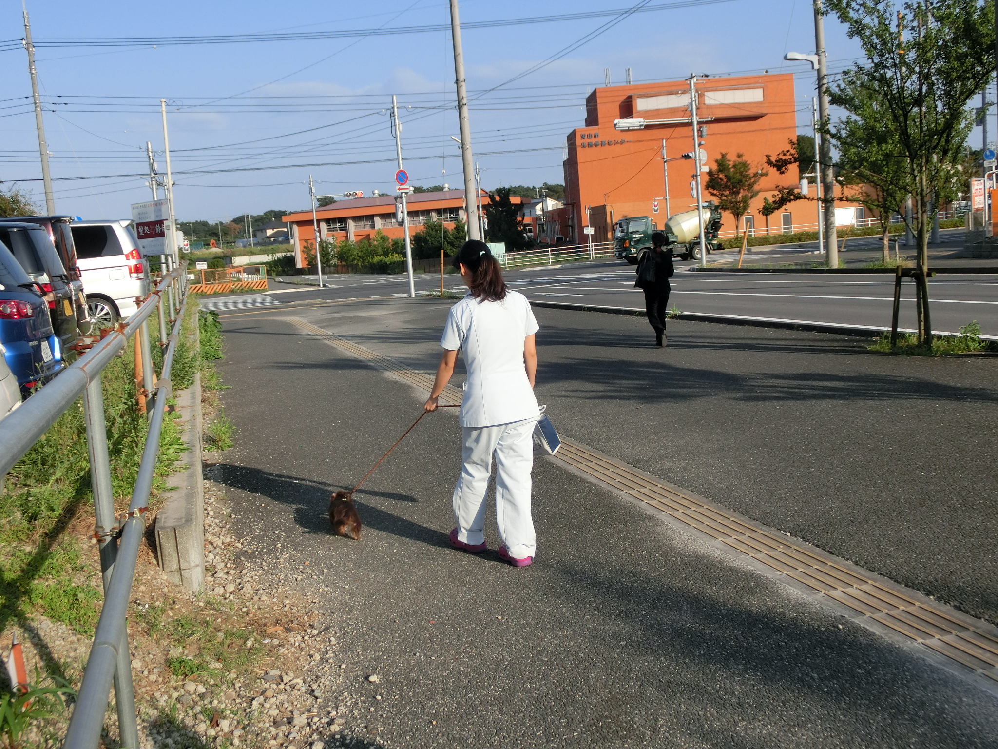 お散歩 お散歩