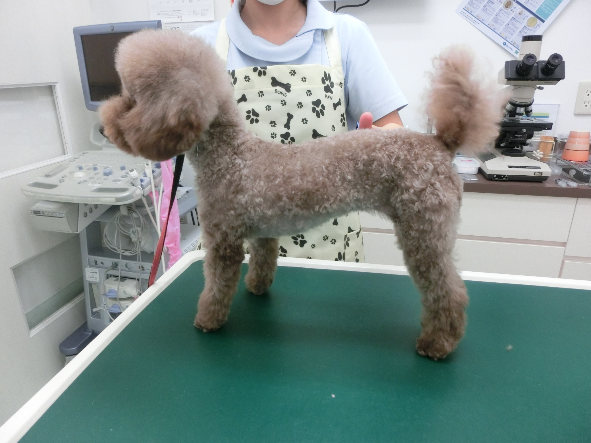 161205COCO2 161205COCO2