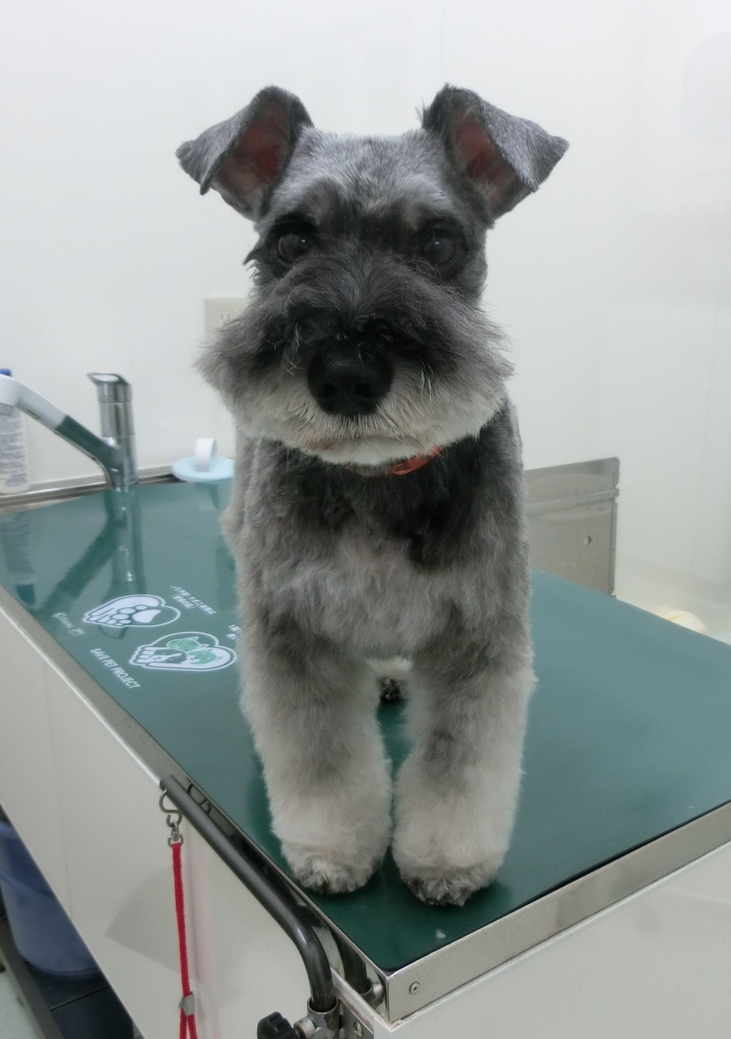 170424陸1 170424陸1