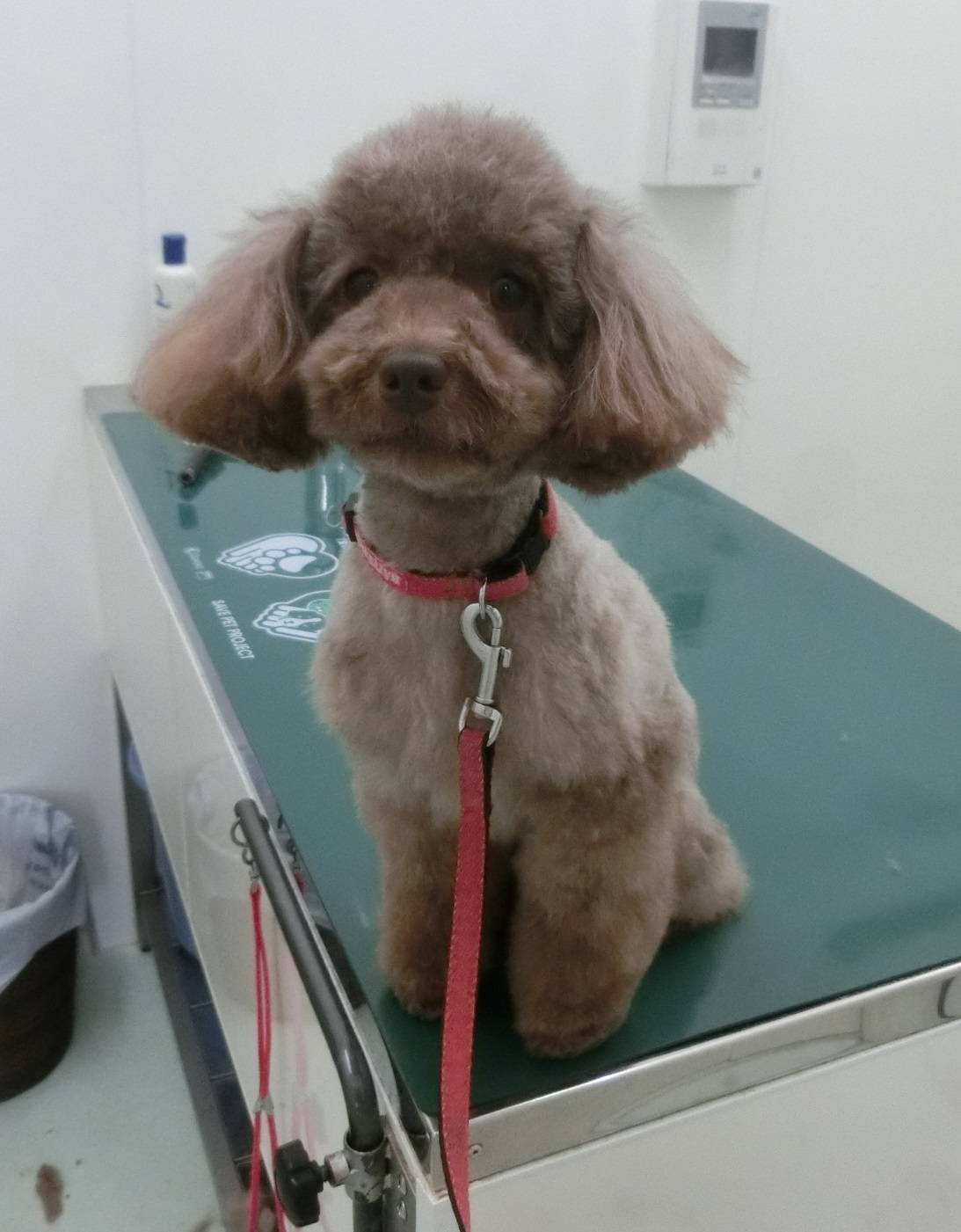 170501COCO1 170501COCO1