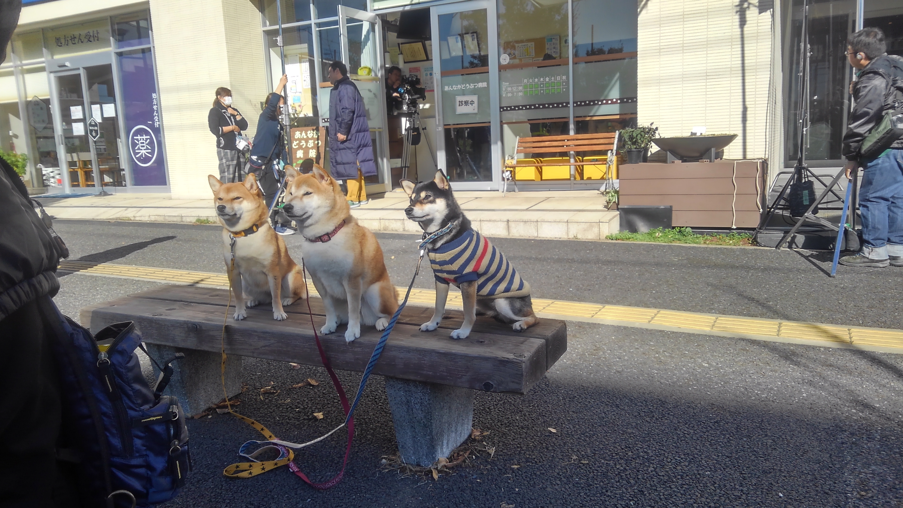 柴公園 柴公園
