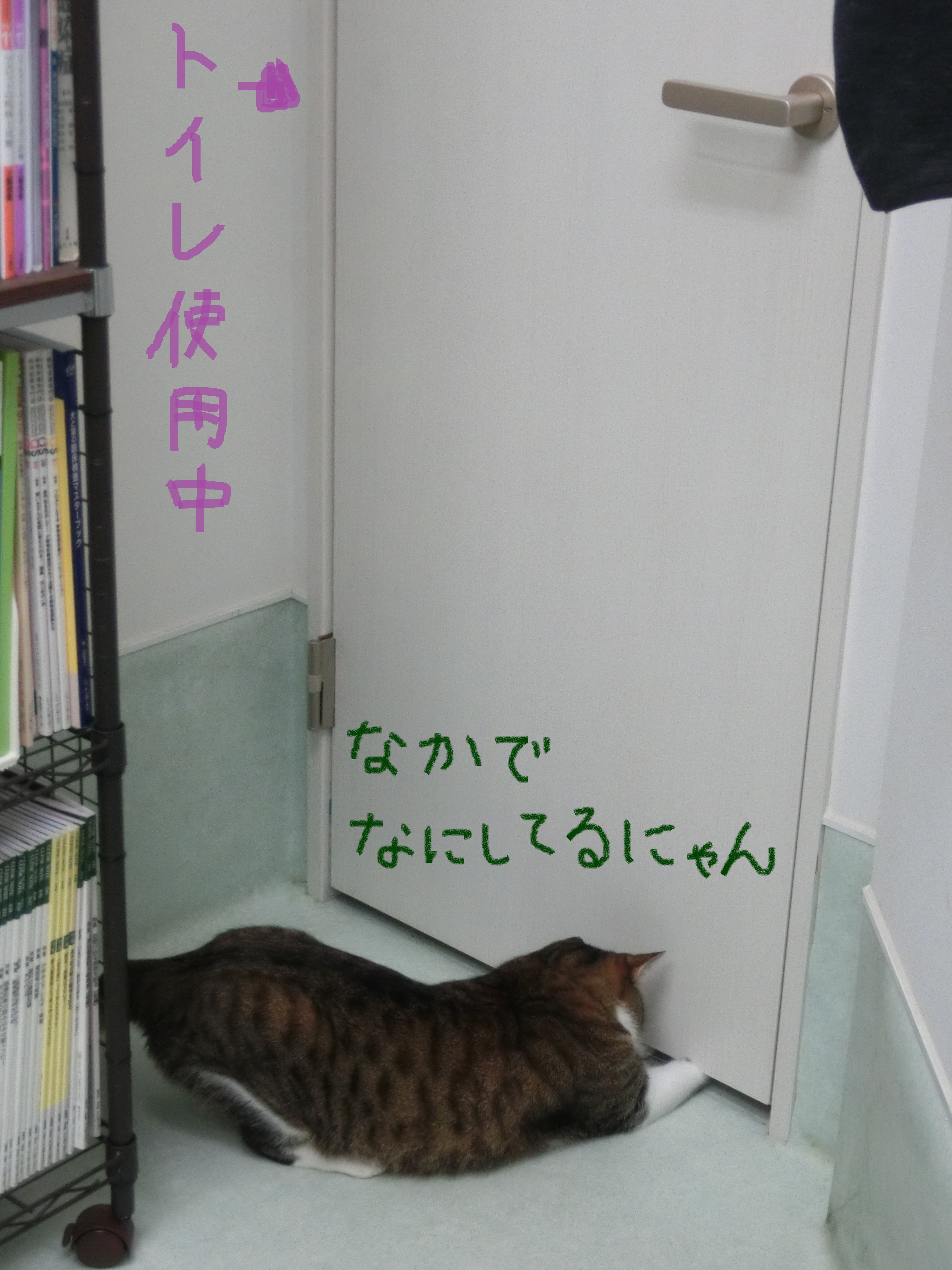 19070507 19070507
