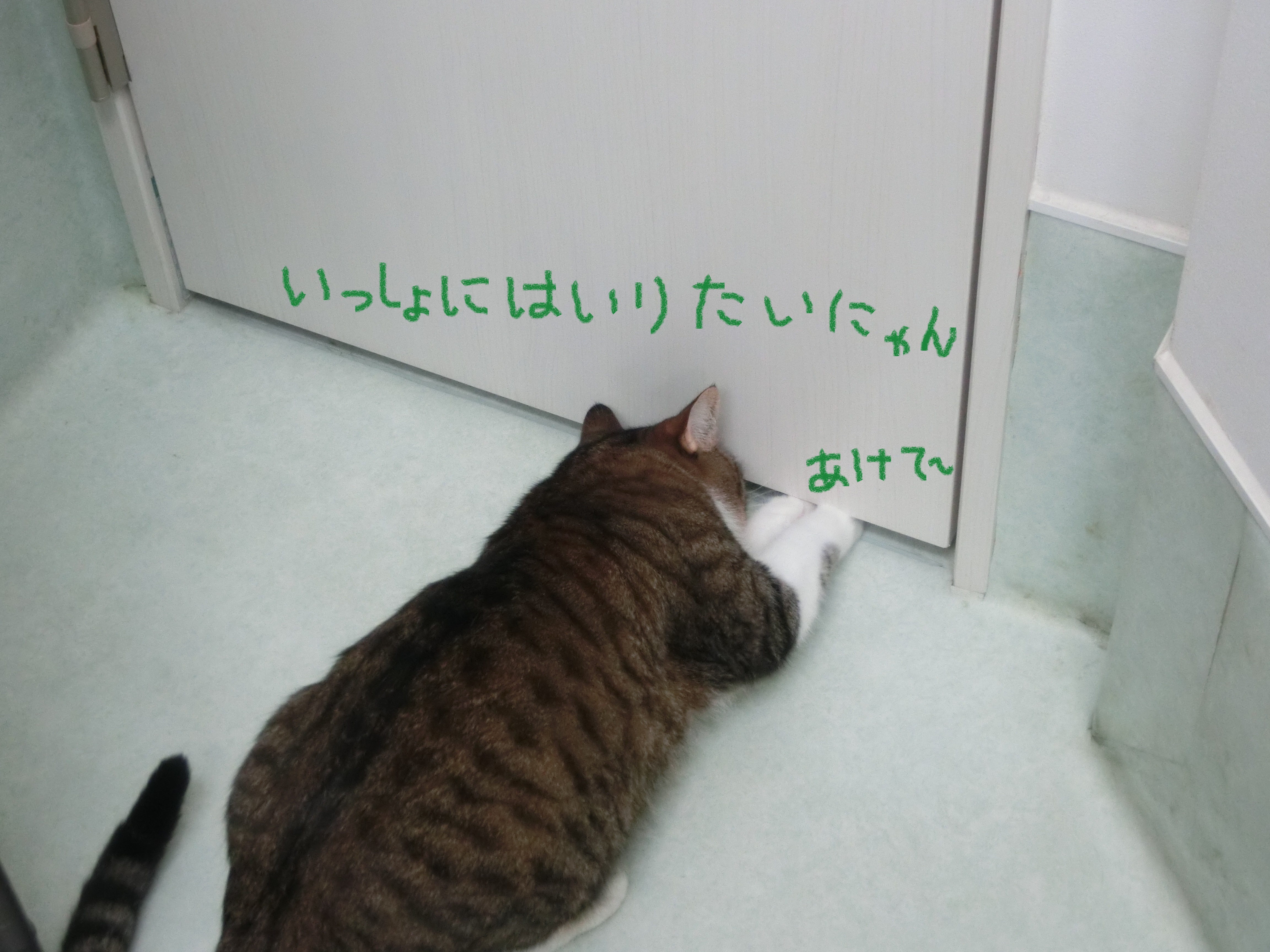 19070508 19070508