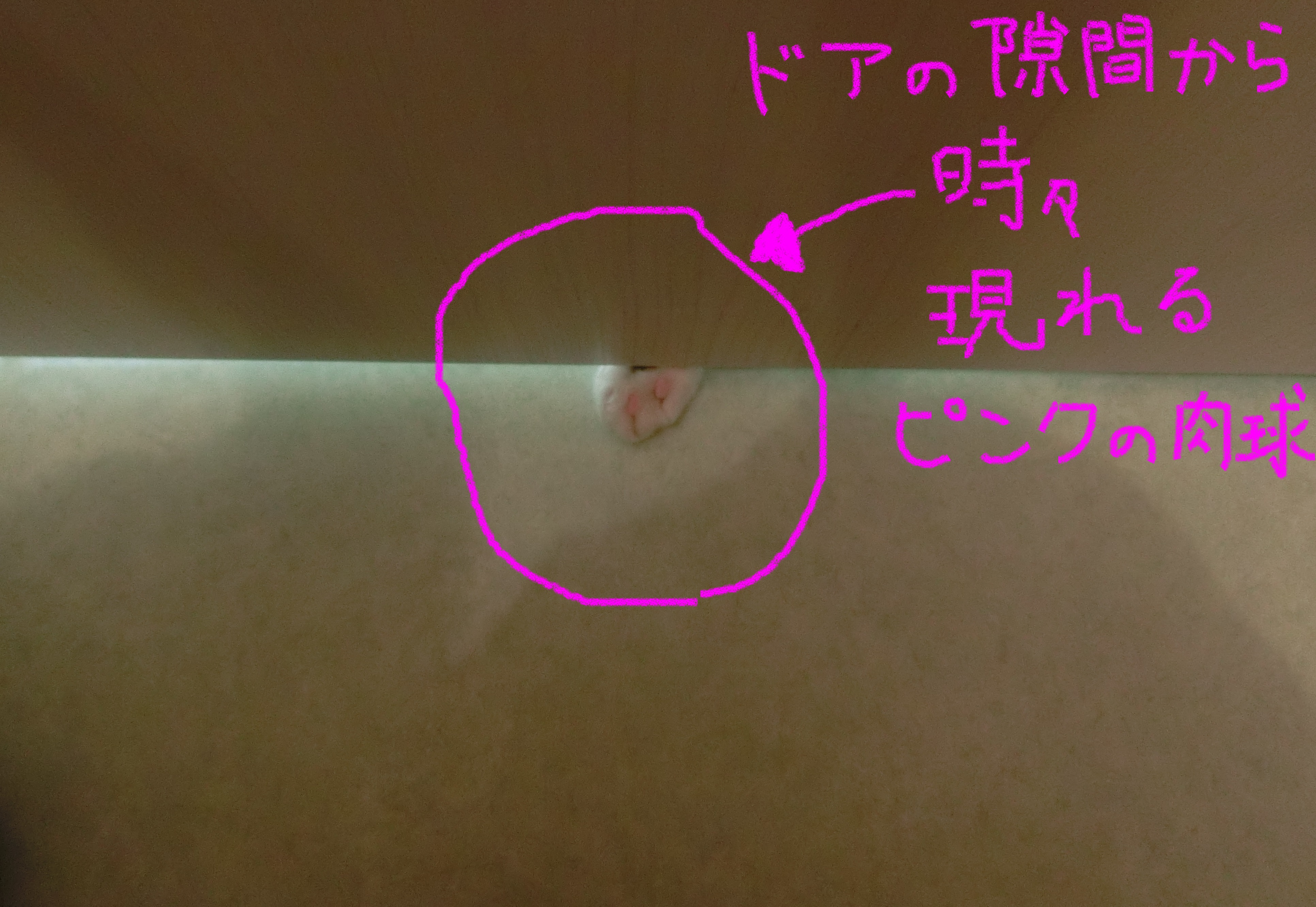 19070509 19070509