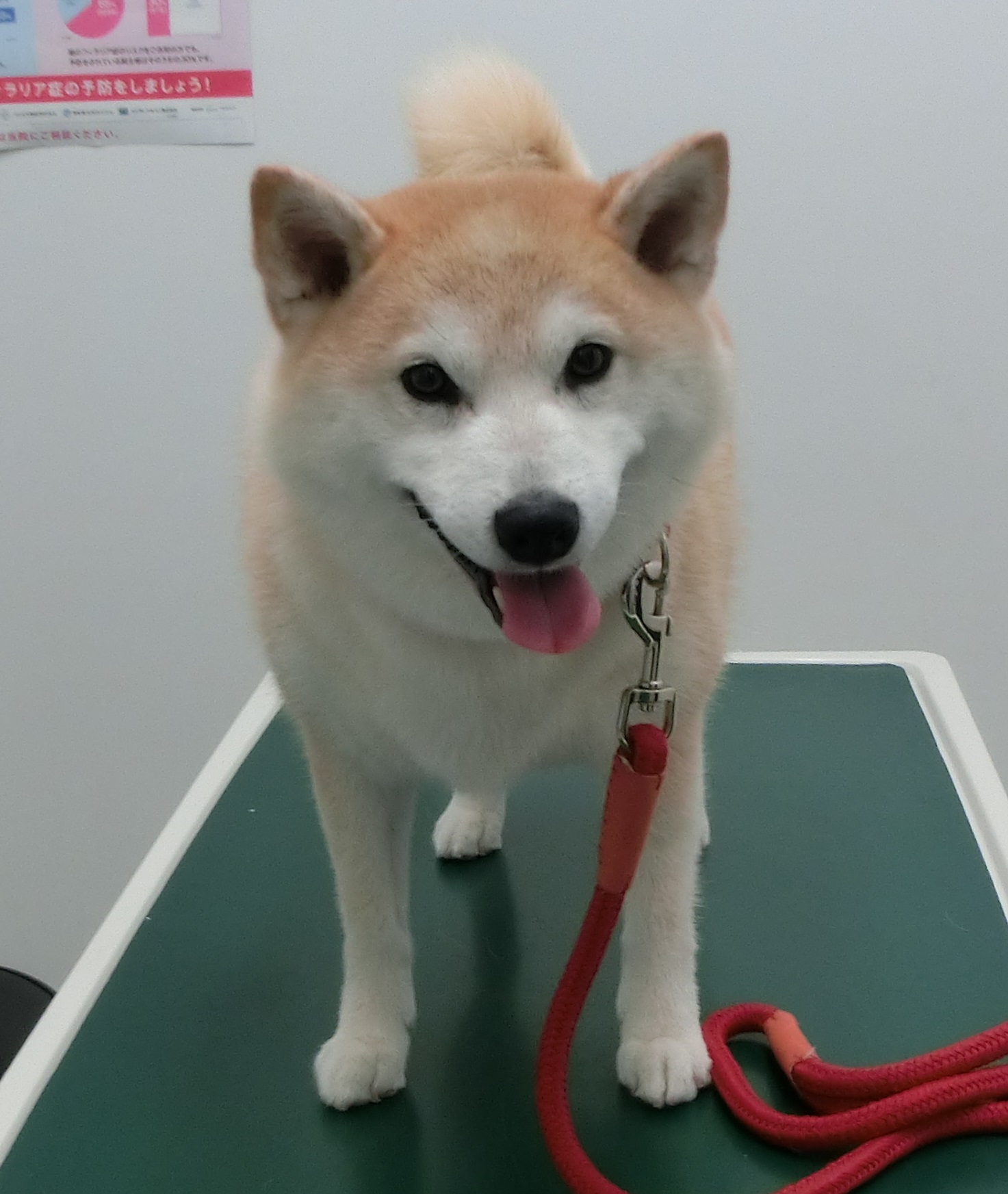 190714うめちゃん 190714うめちゃん