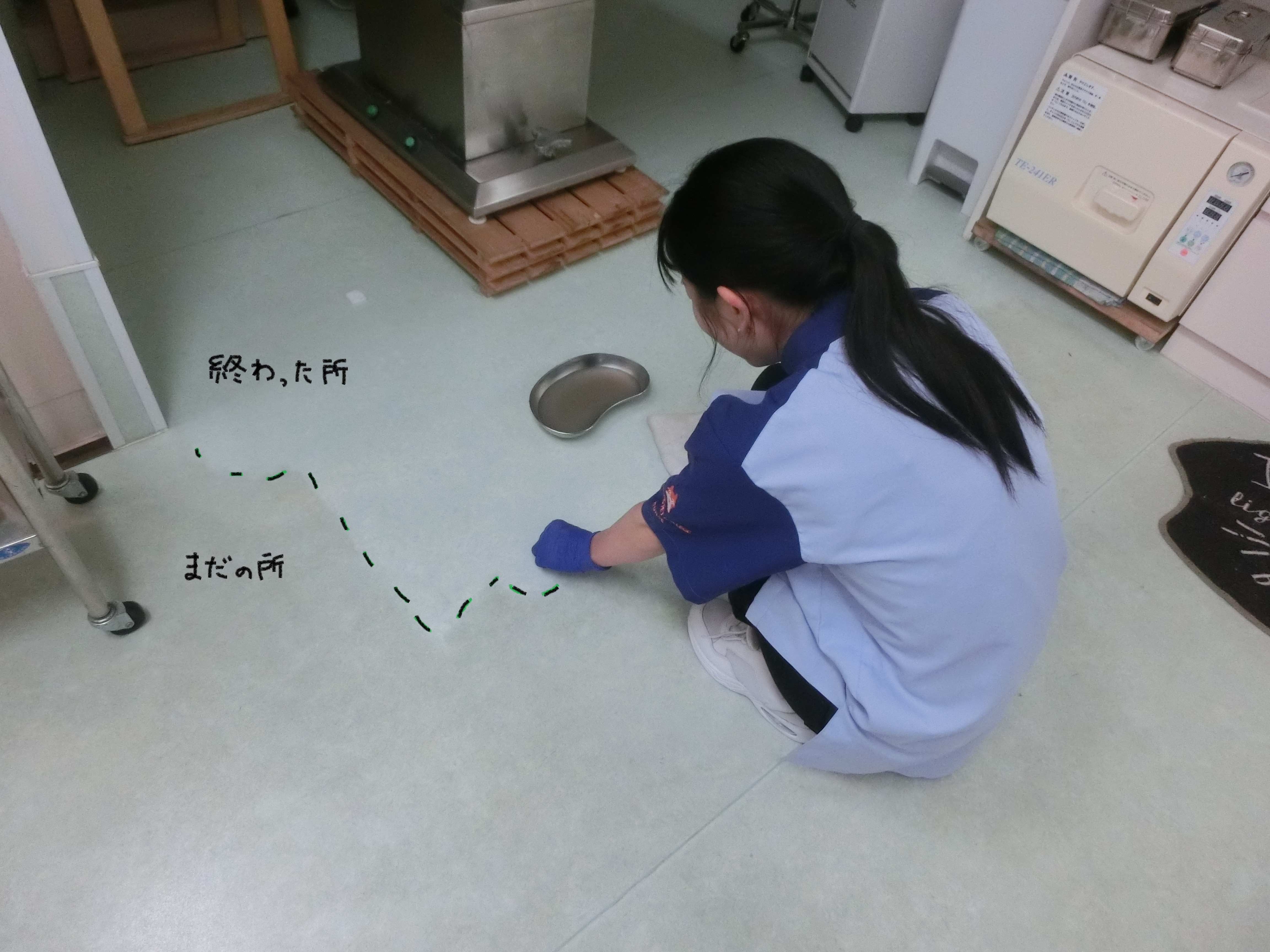実習生 実習生