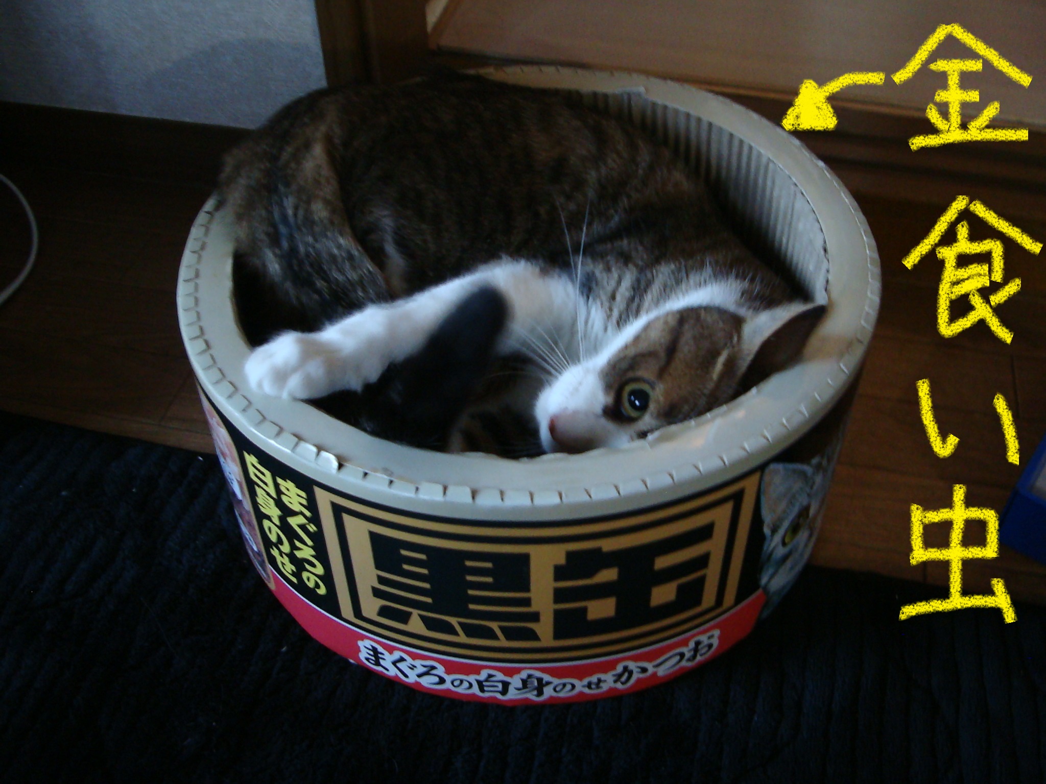 金食い虫 金食い虫