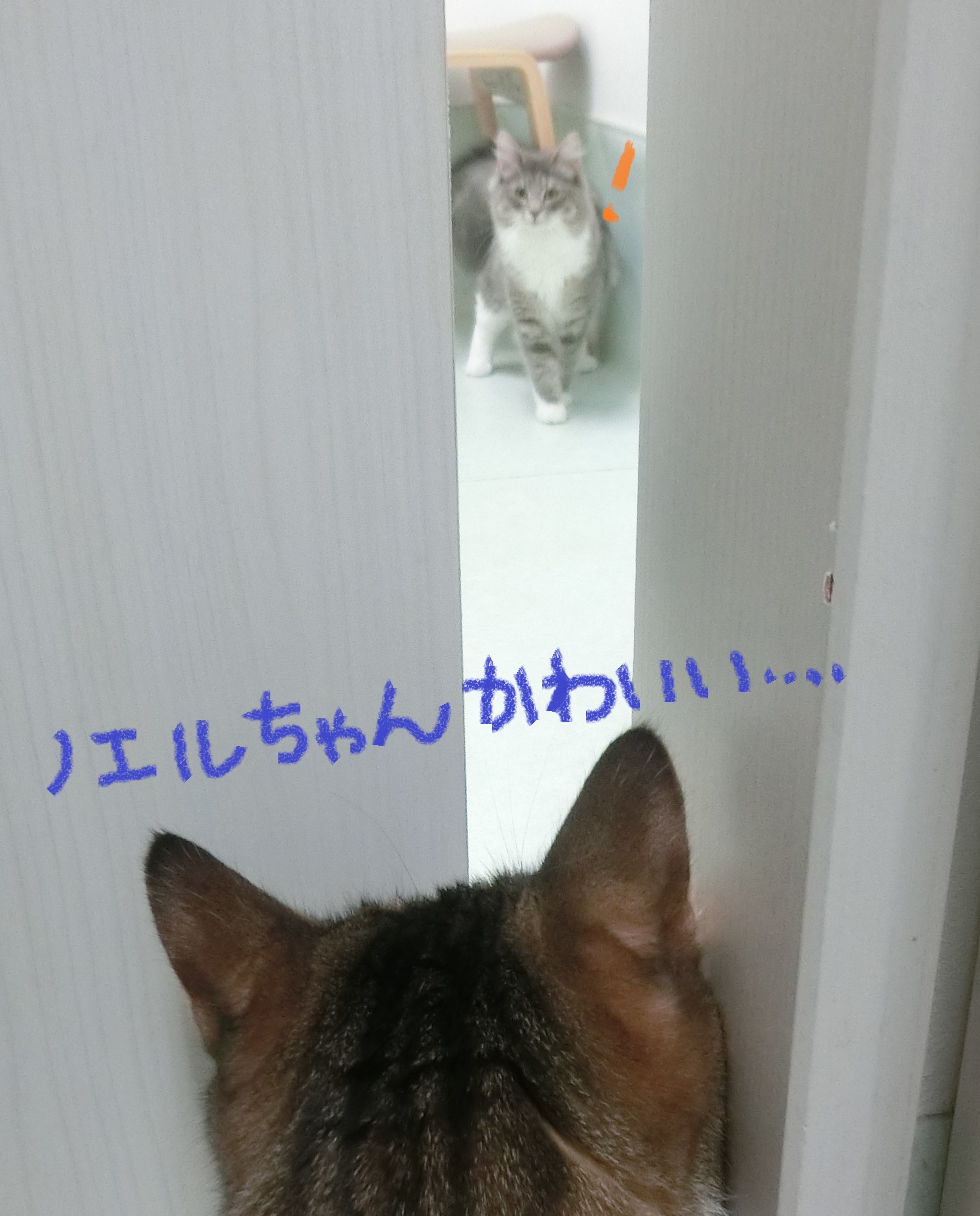 得意ののぞき 得意ののぞき