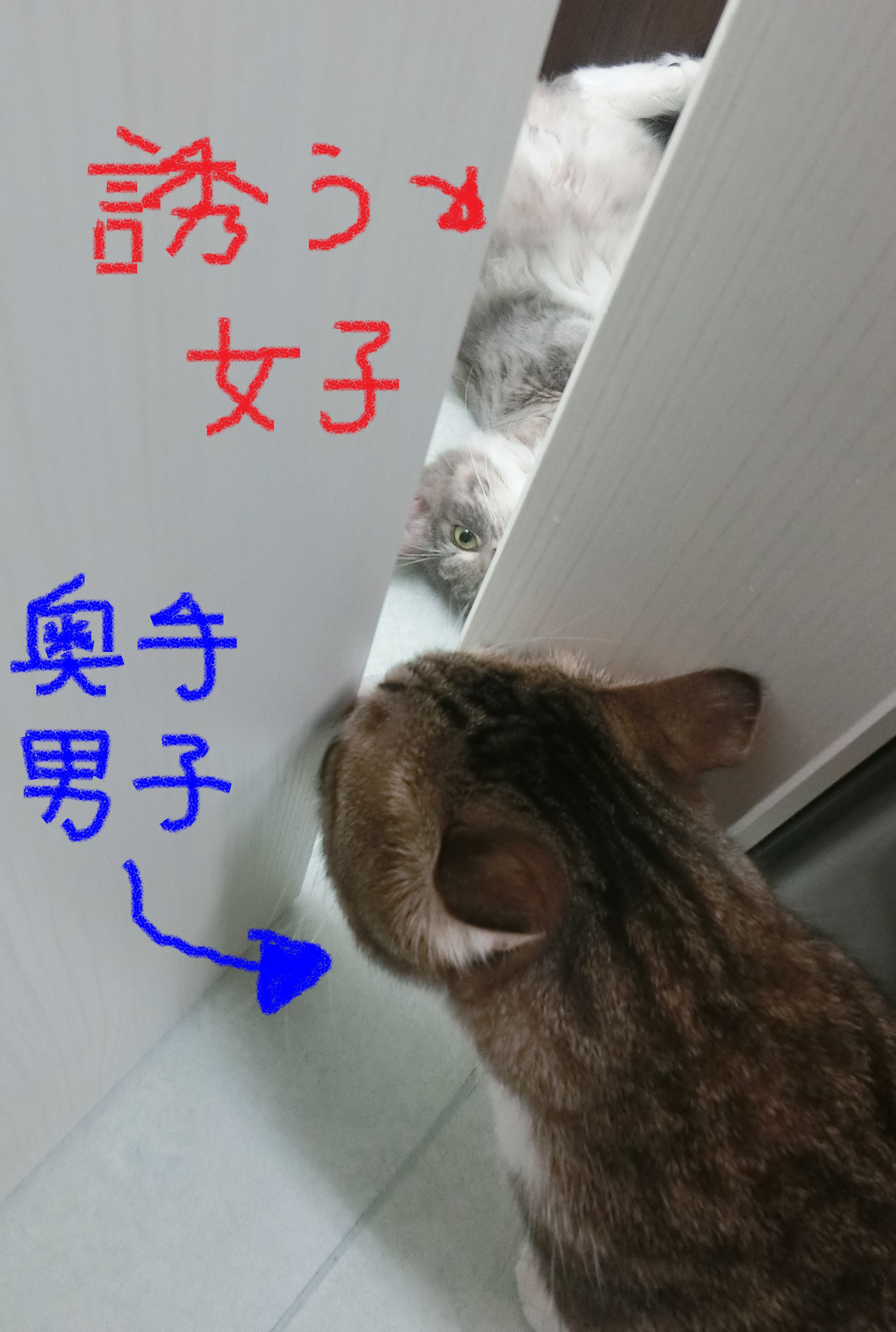 誘う女子奥手男子 誘う女子奥手男子