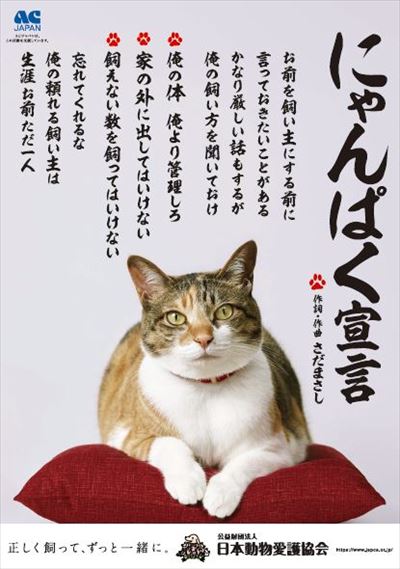 AC猫 AC猫