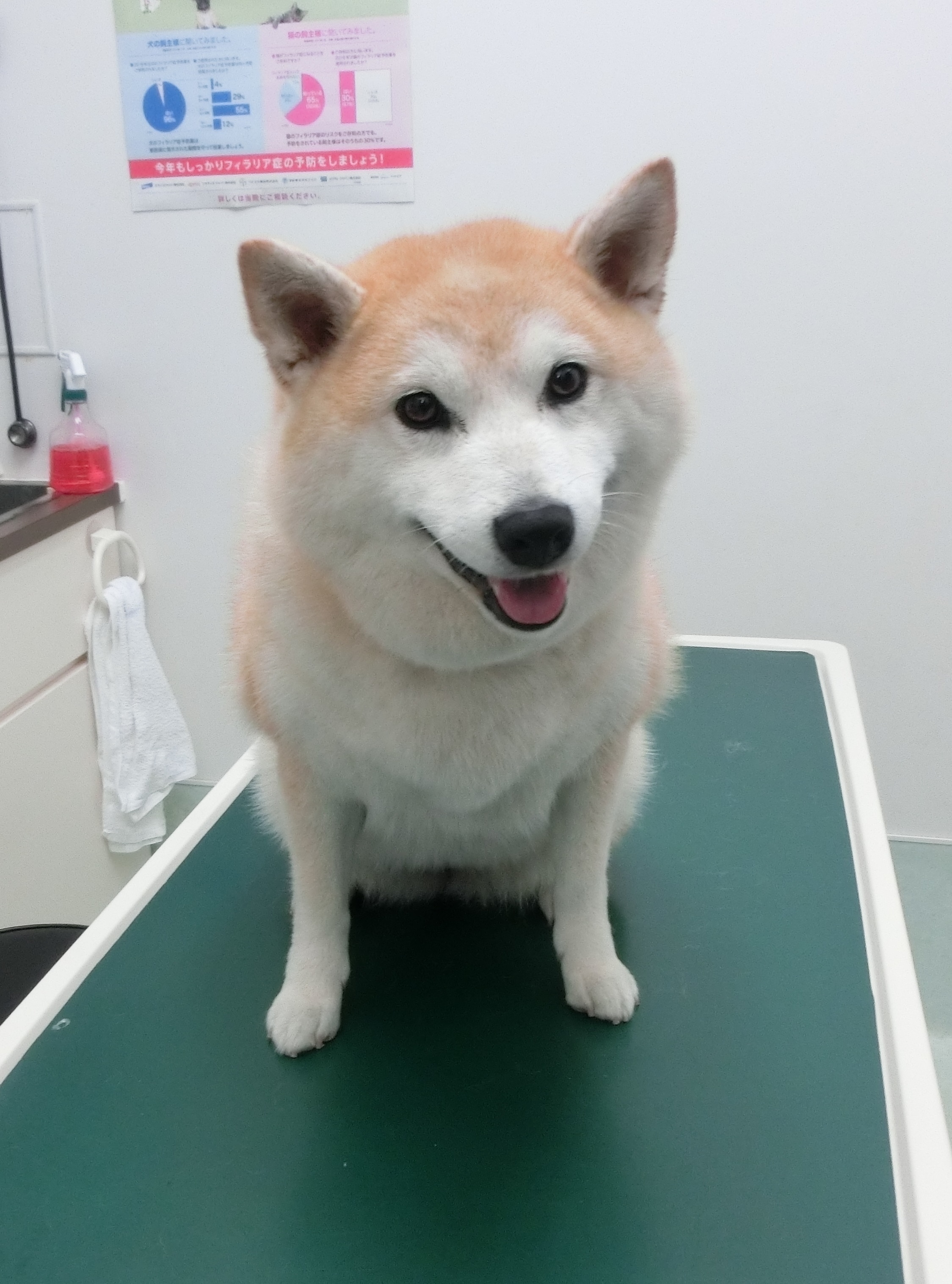 191015うめちゃん 191015うめちゃん