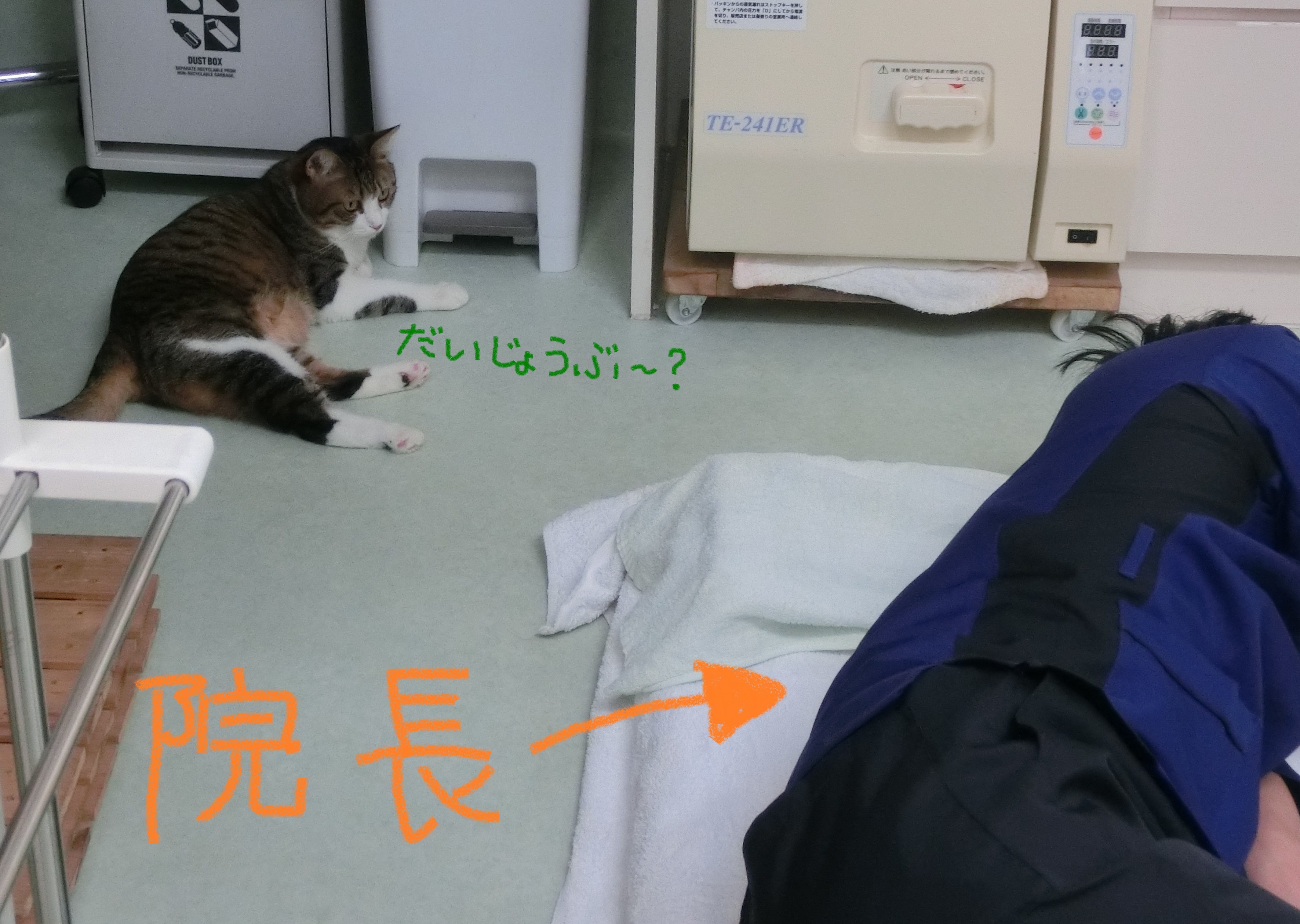 心配するのんさん 心配するのんさん