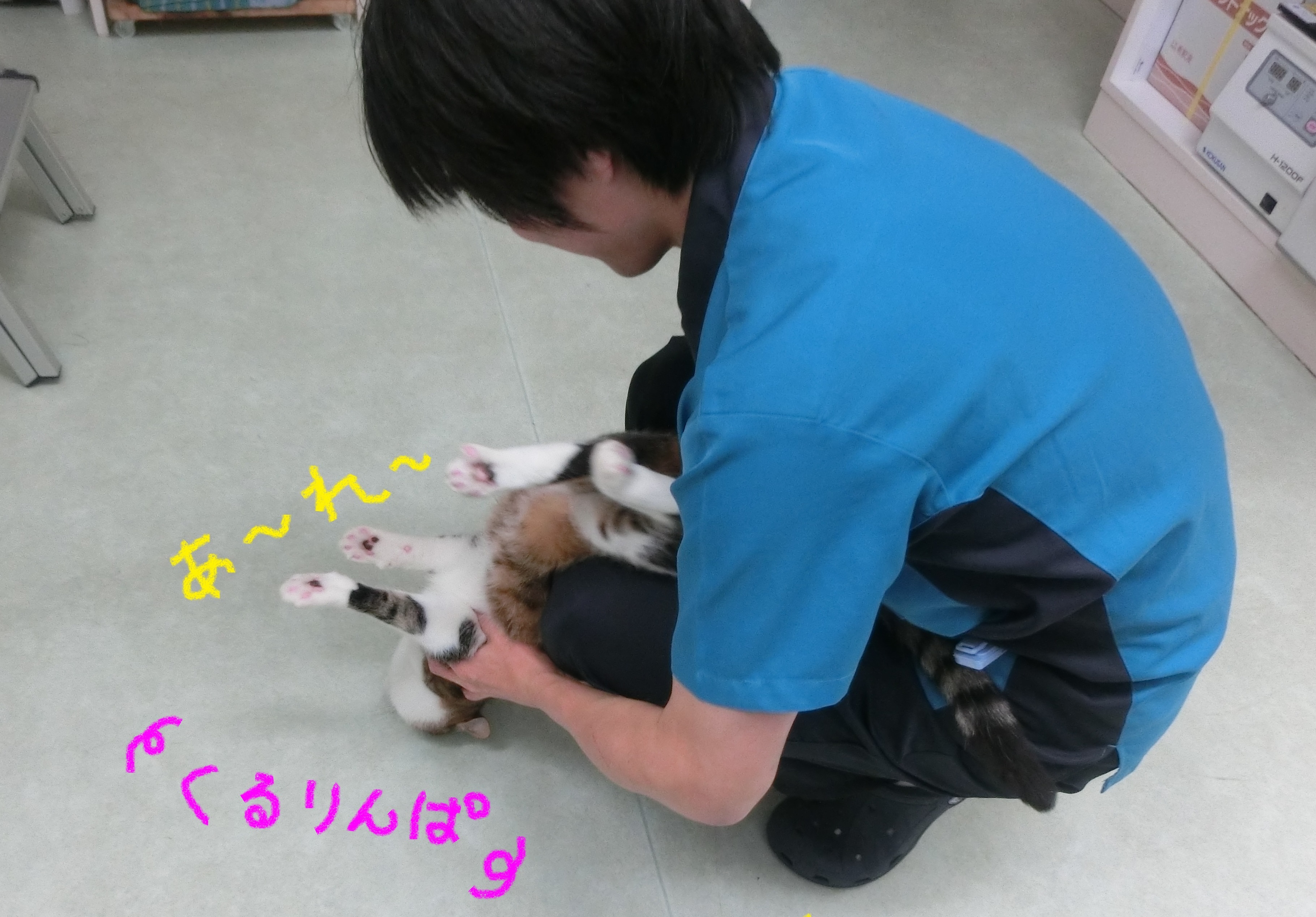 くるりんぱ くるりんぱ