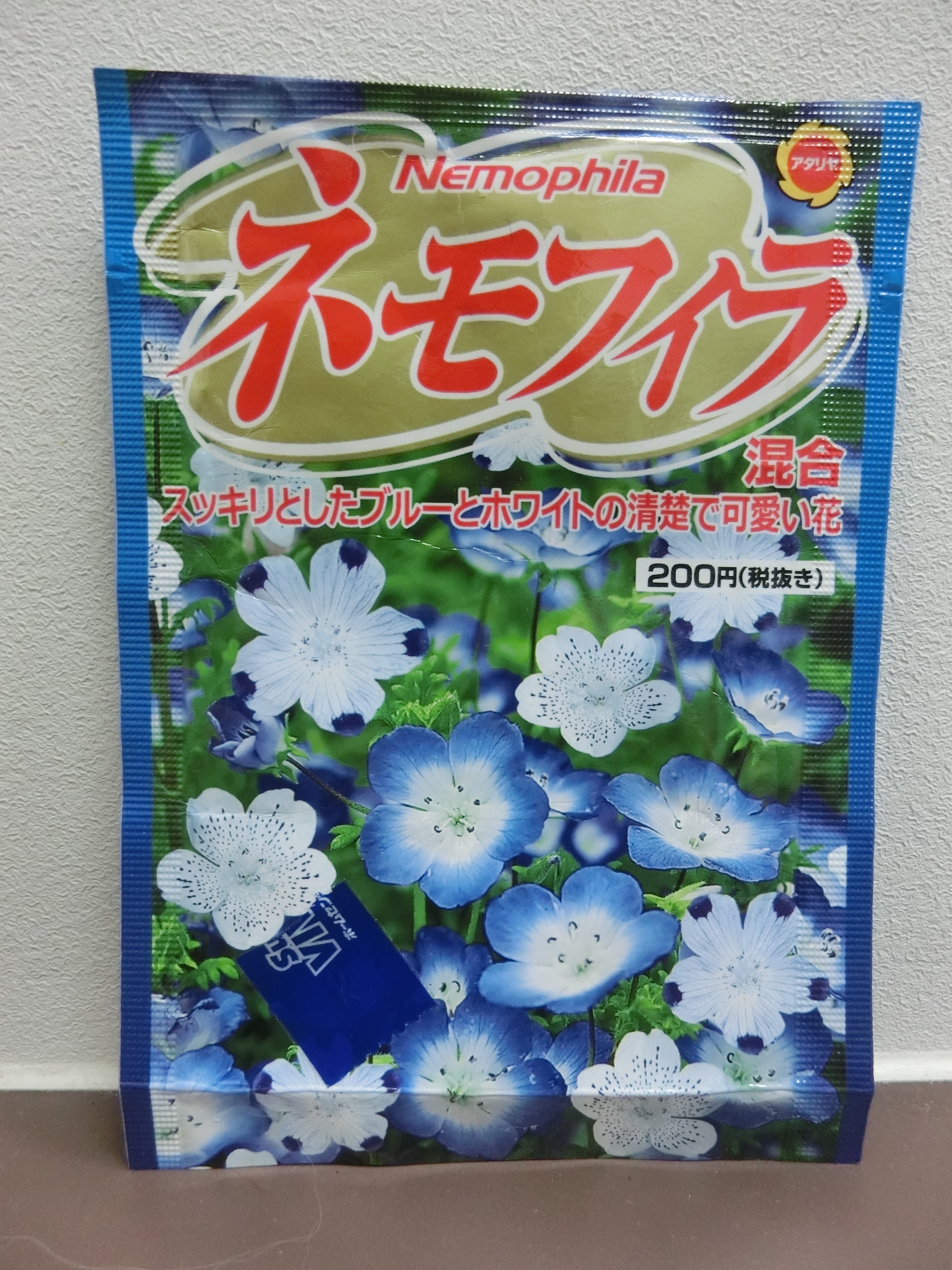 ネモフィラ ネモフィラ