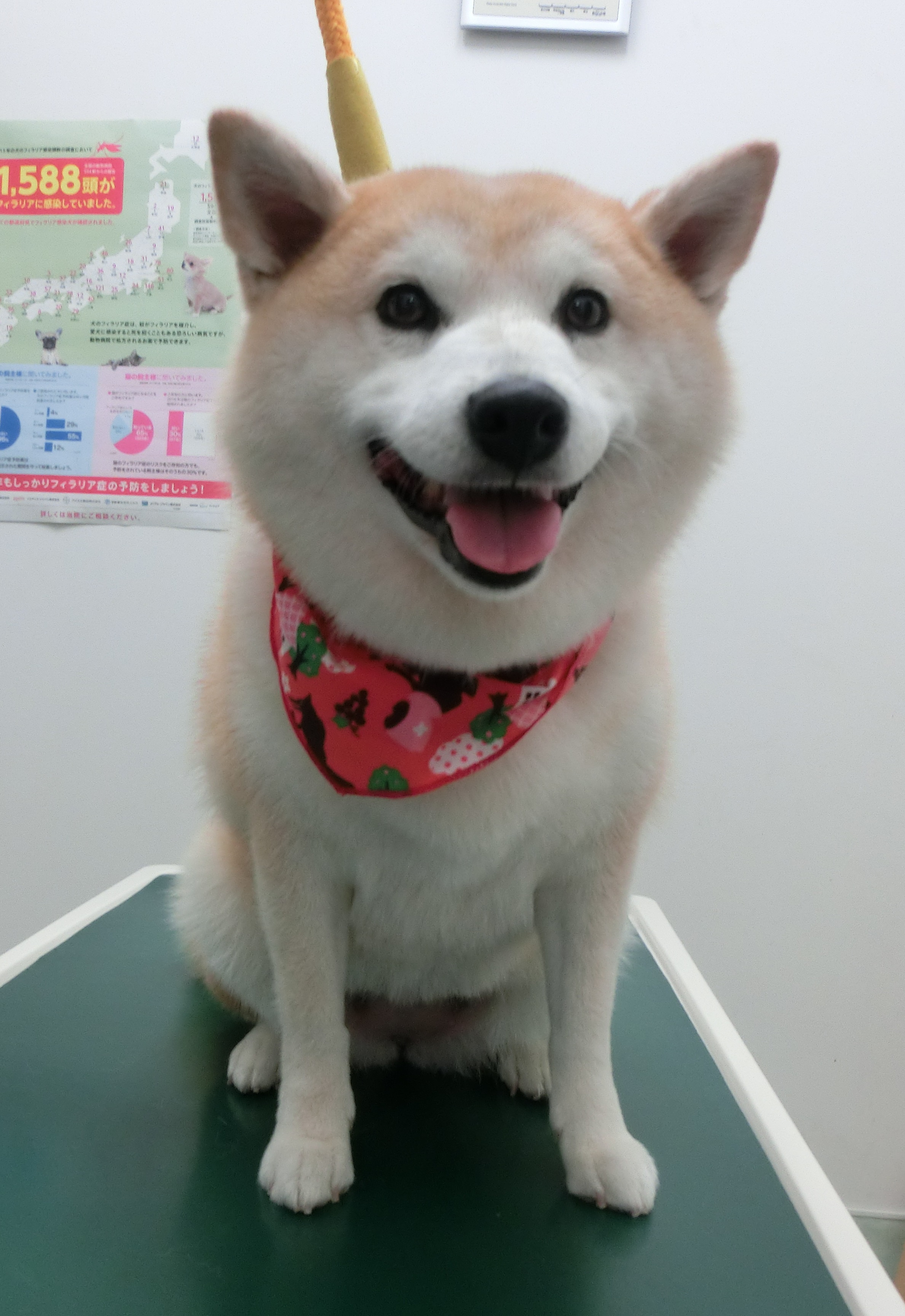 うめちゃん うめちゃん