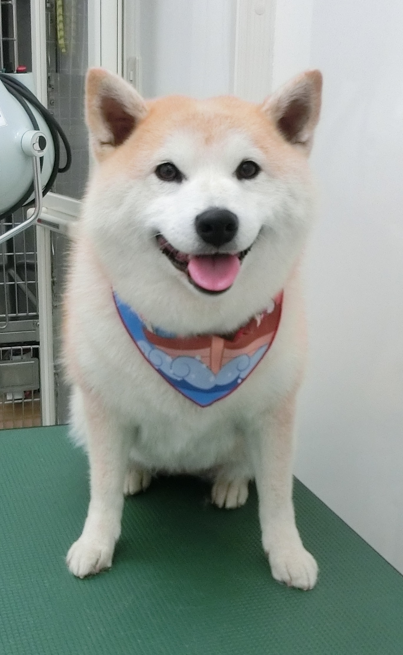 うめちゃん うめちゃん