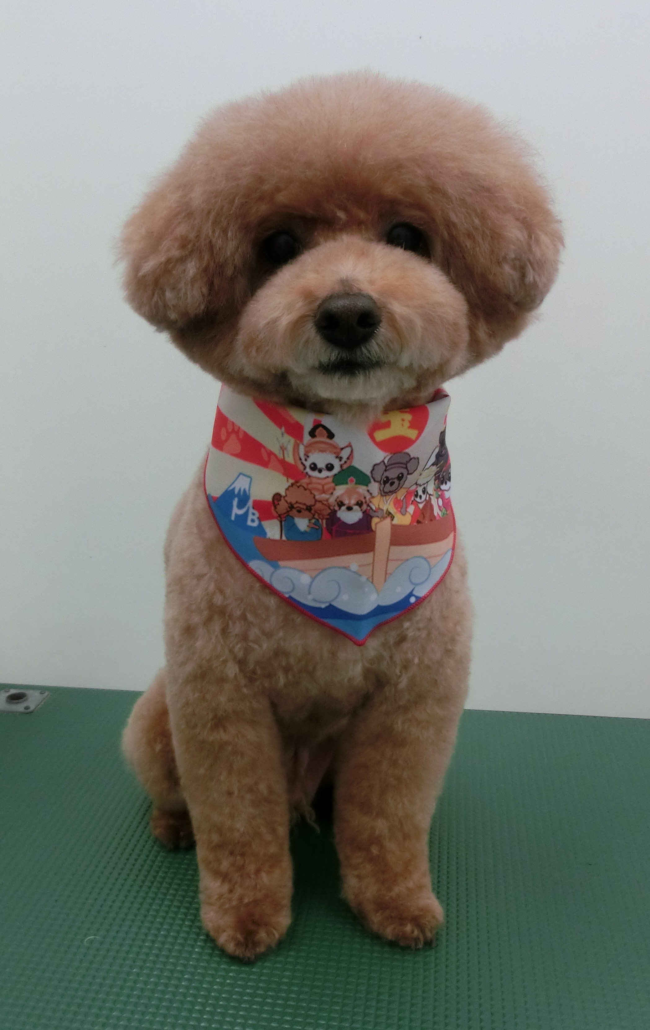 COCOくん COCOくん