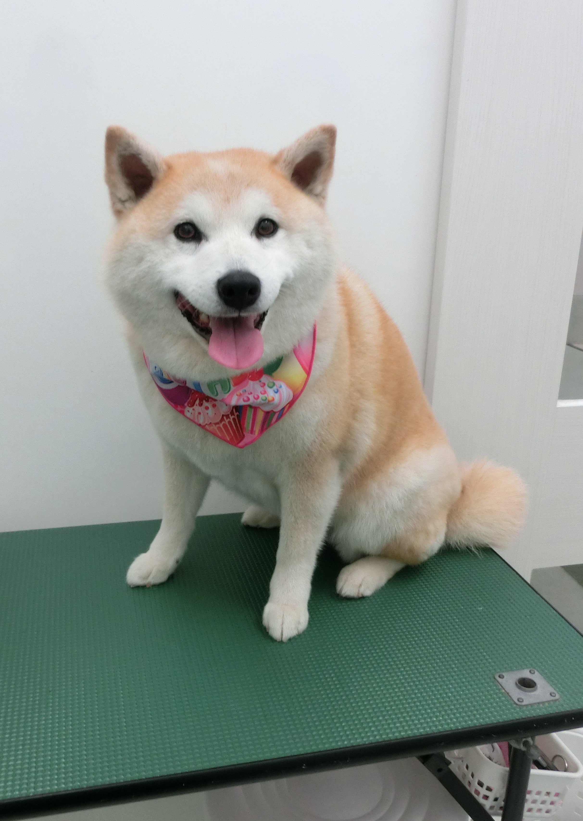 うめちゃん うめちゃん