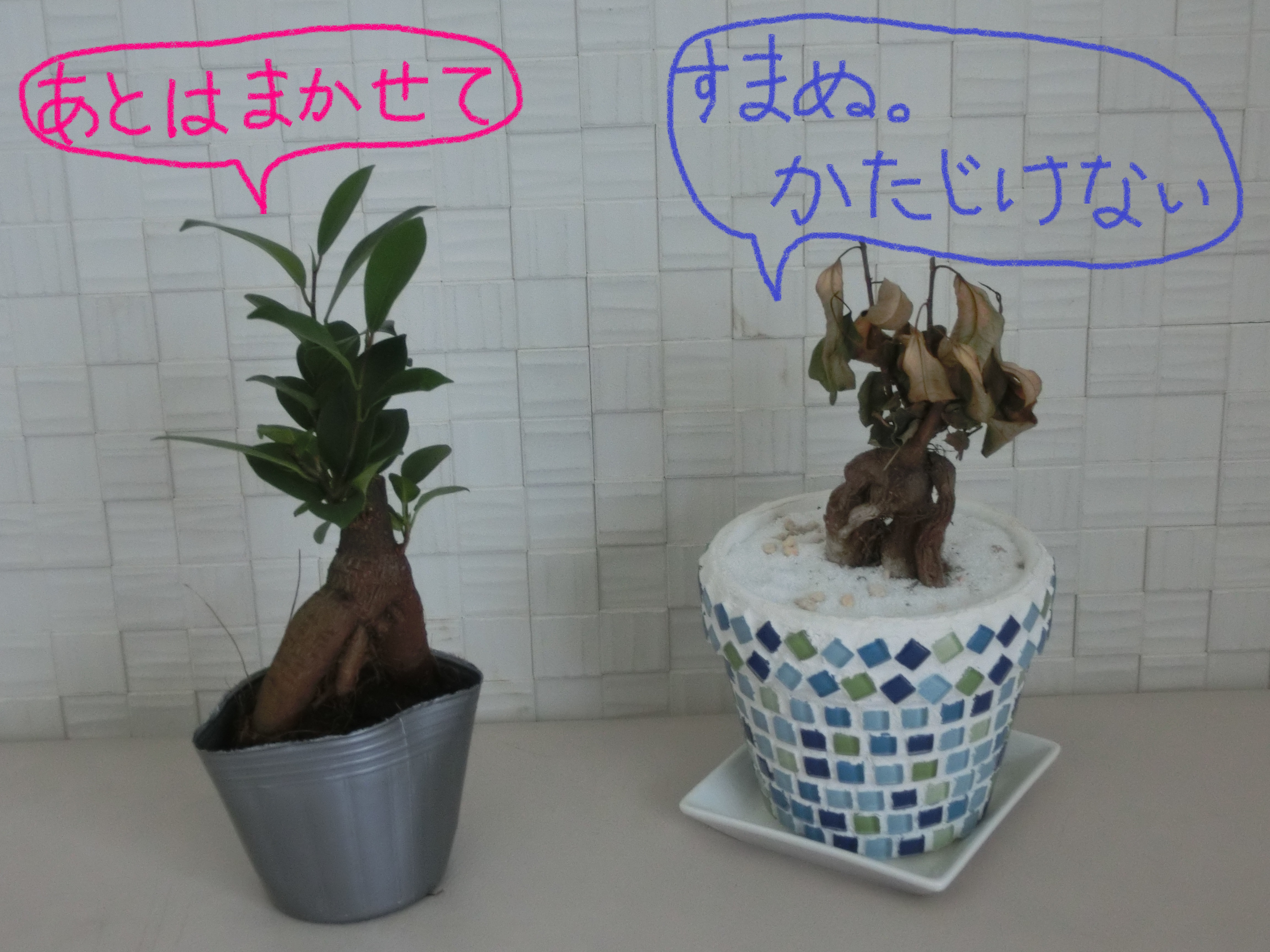 妄想1 妄想1