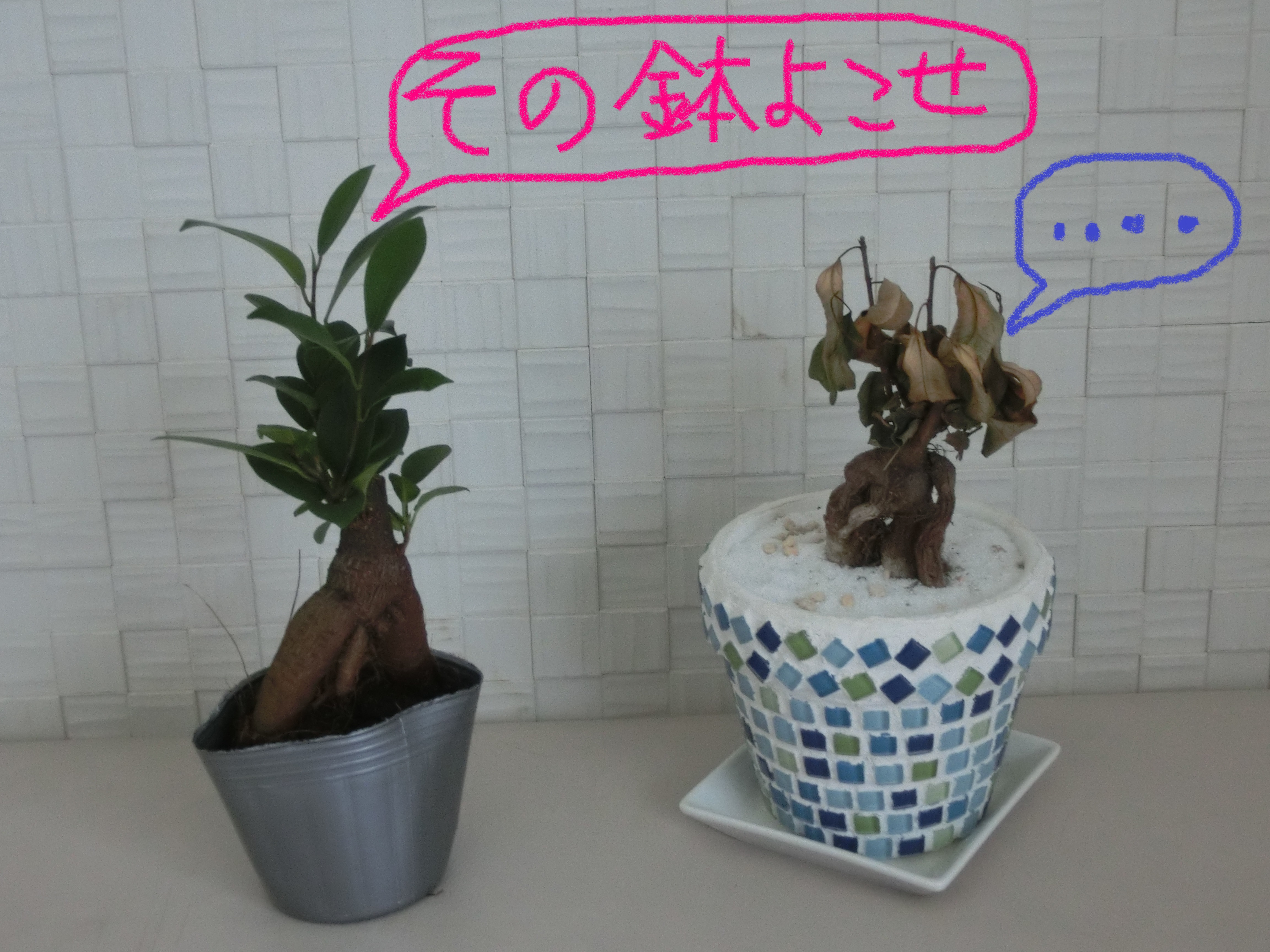 妄想2 妄想2