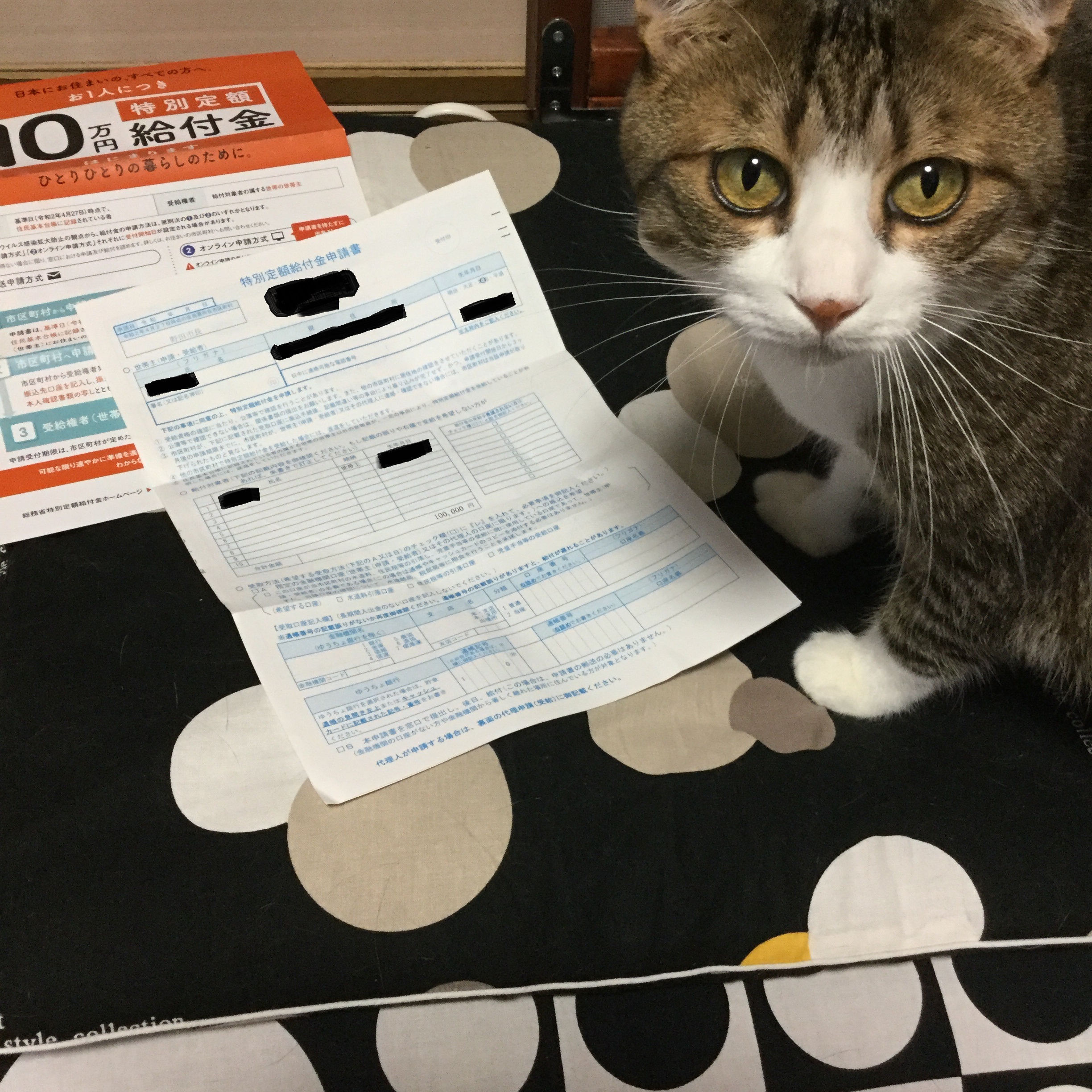 目で訴える 目で訴える