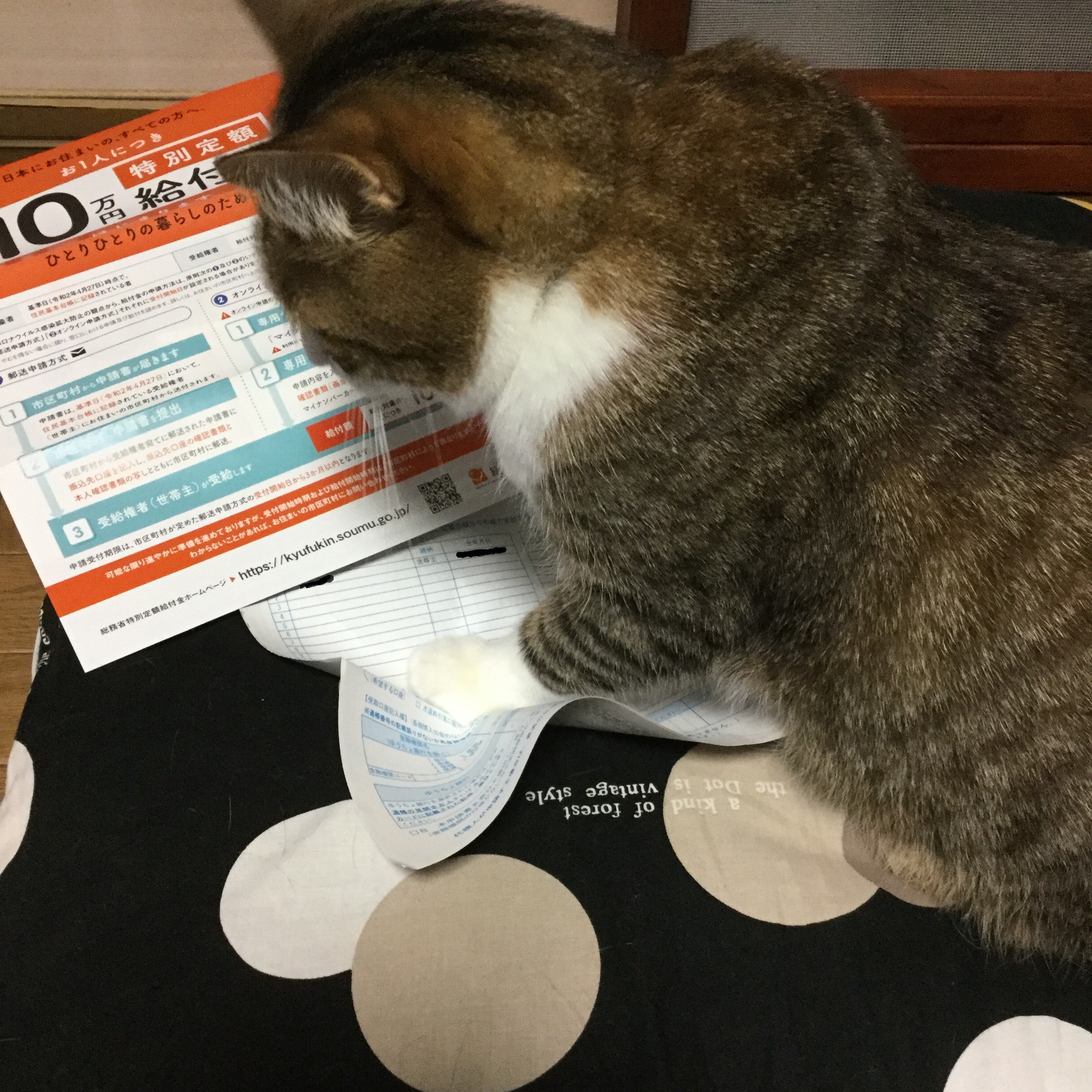 いやがらせ いやがらせ
