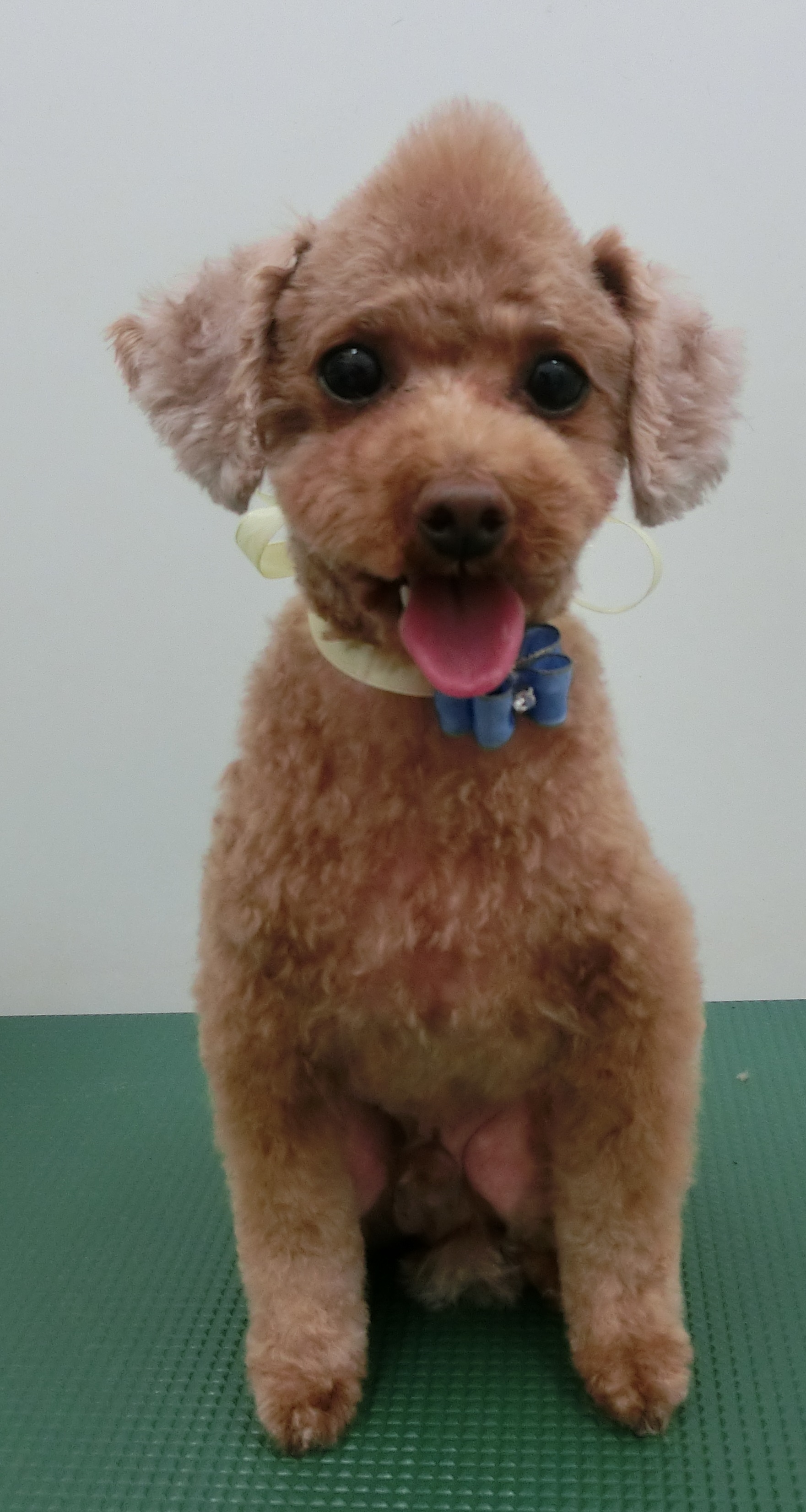 Barneyくん Barneyくん