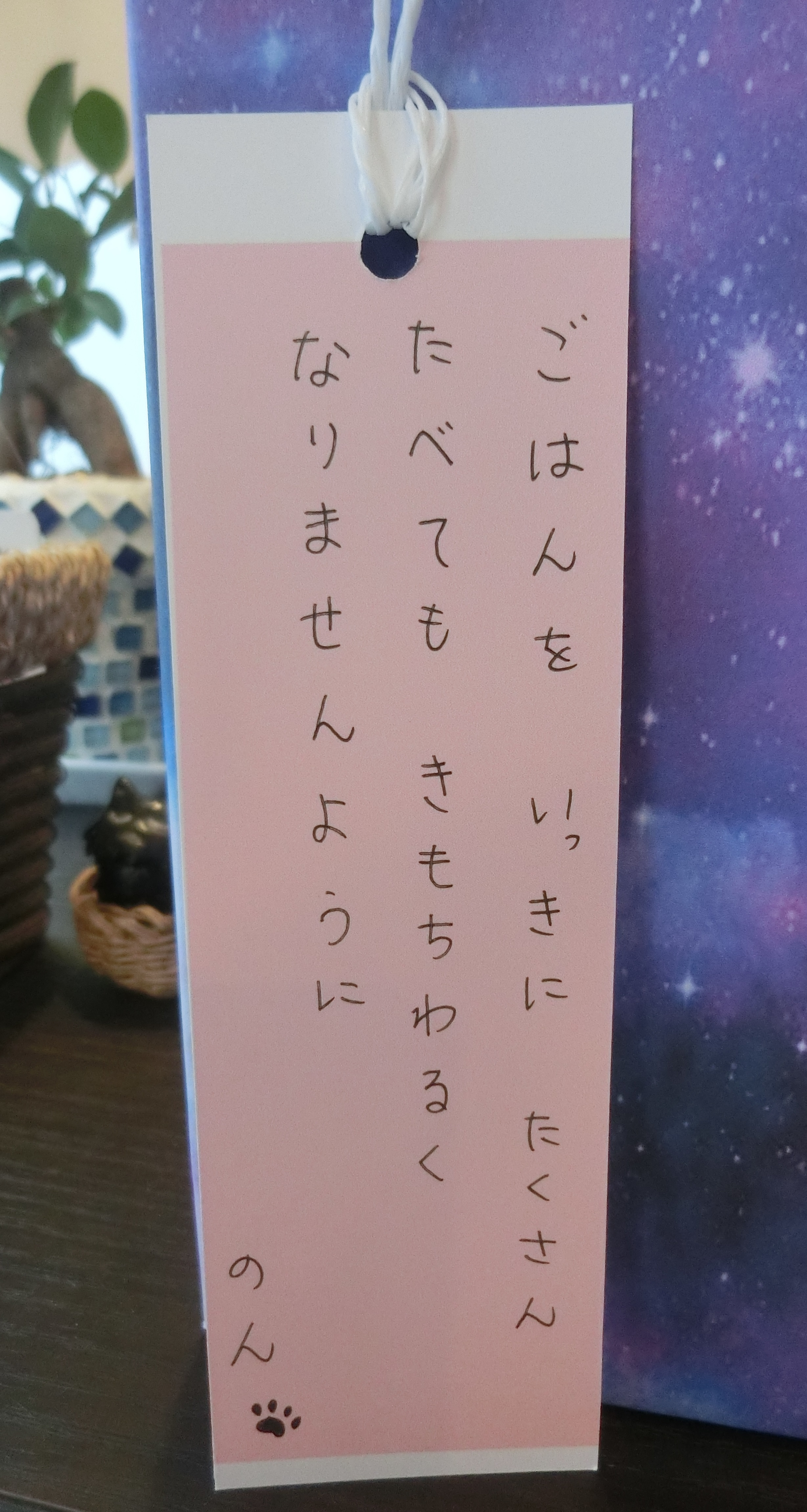 のんのねがい のんのねがい