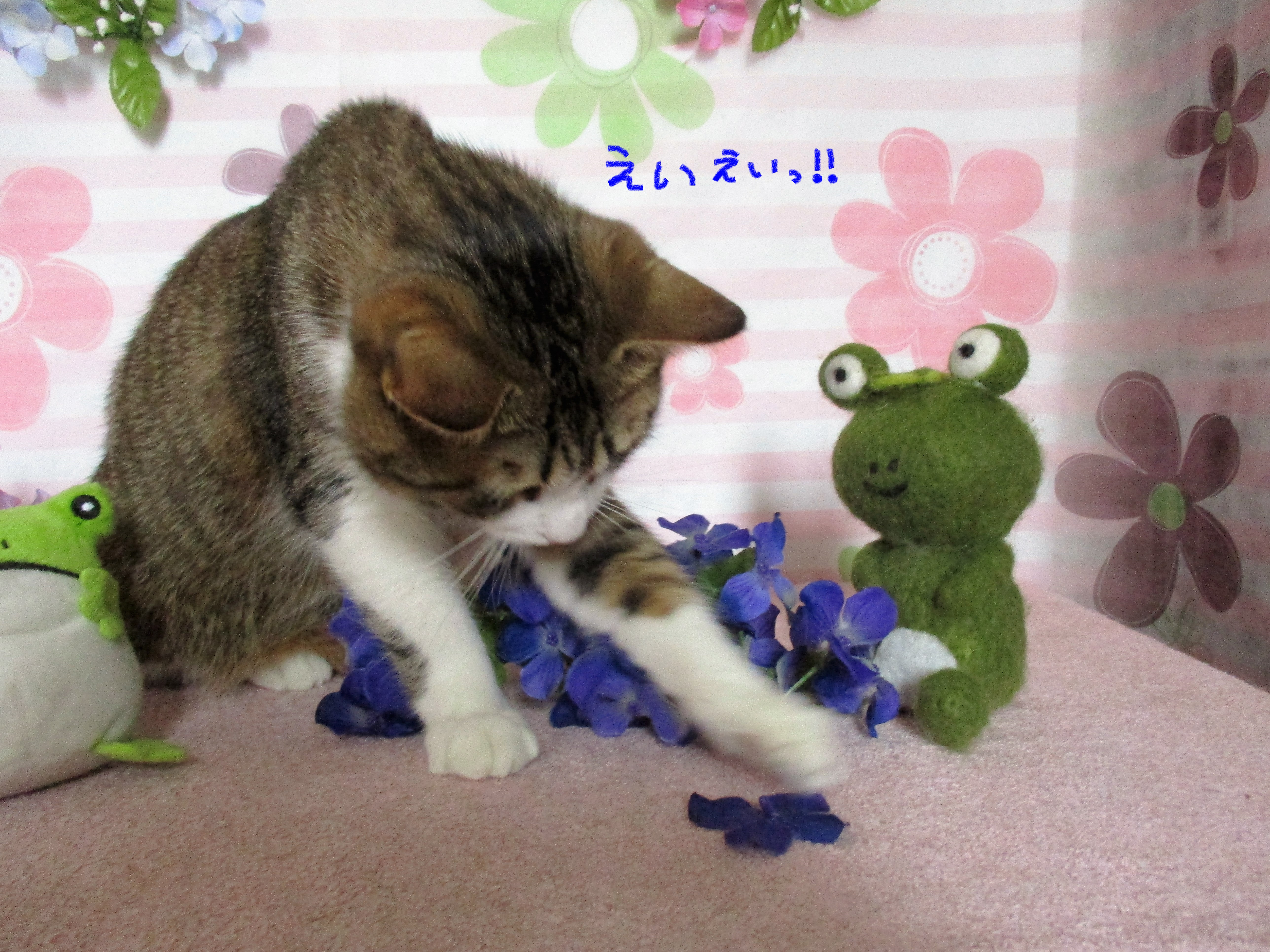 えいえい えいえい