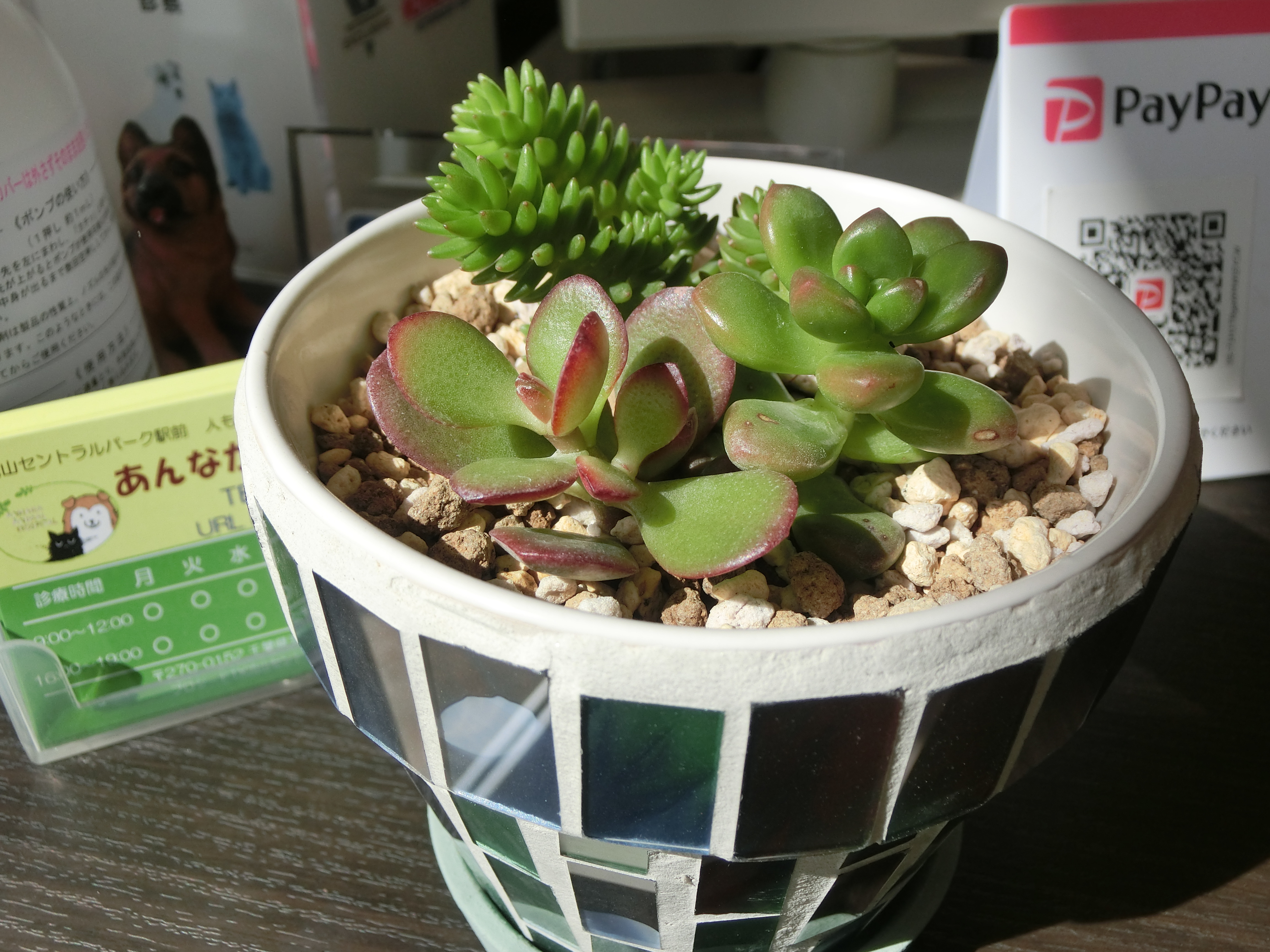 3月 3月