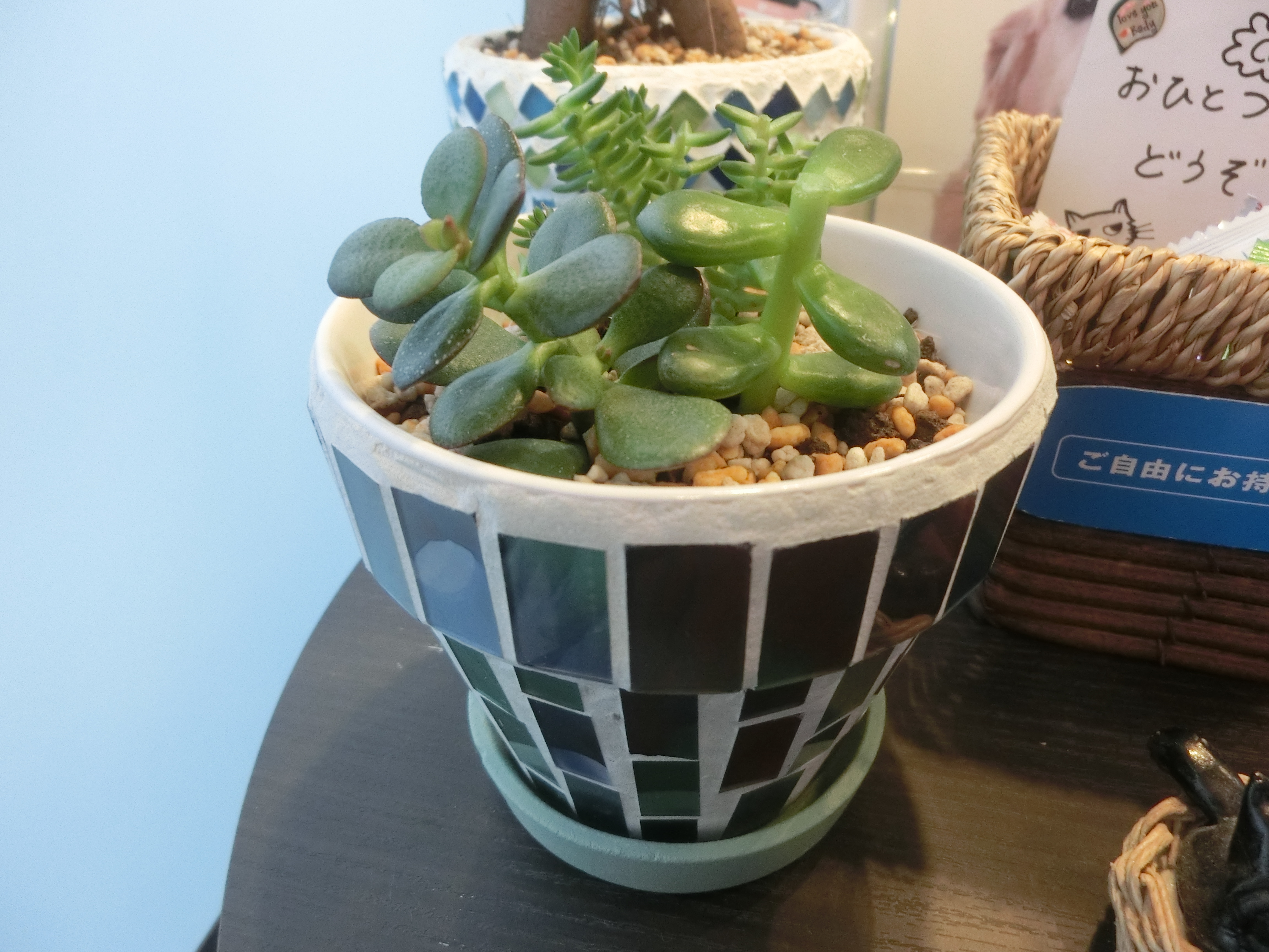 さっぱり さっぱり