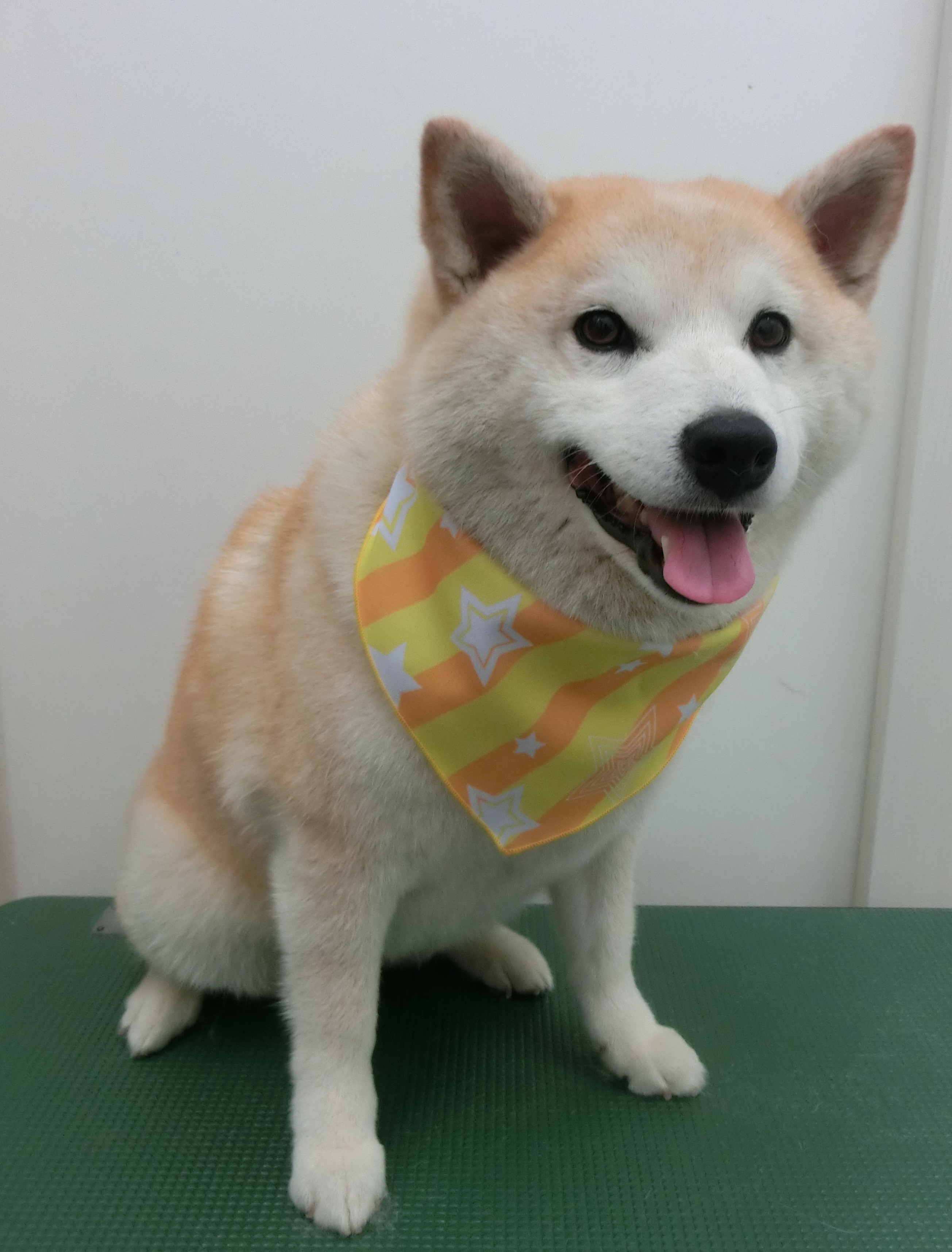 うめちゃん うめちゃん