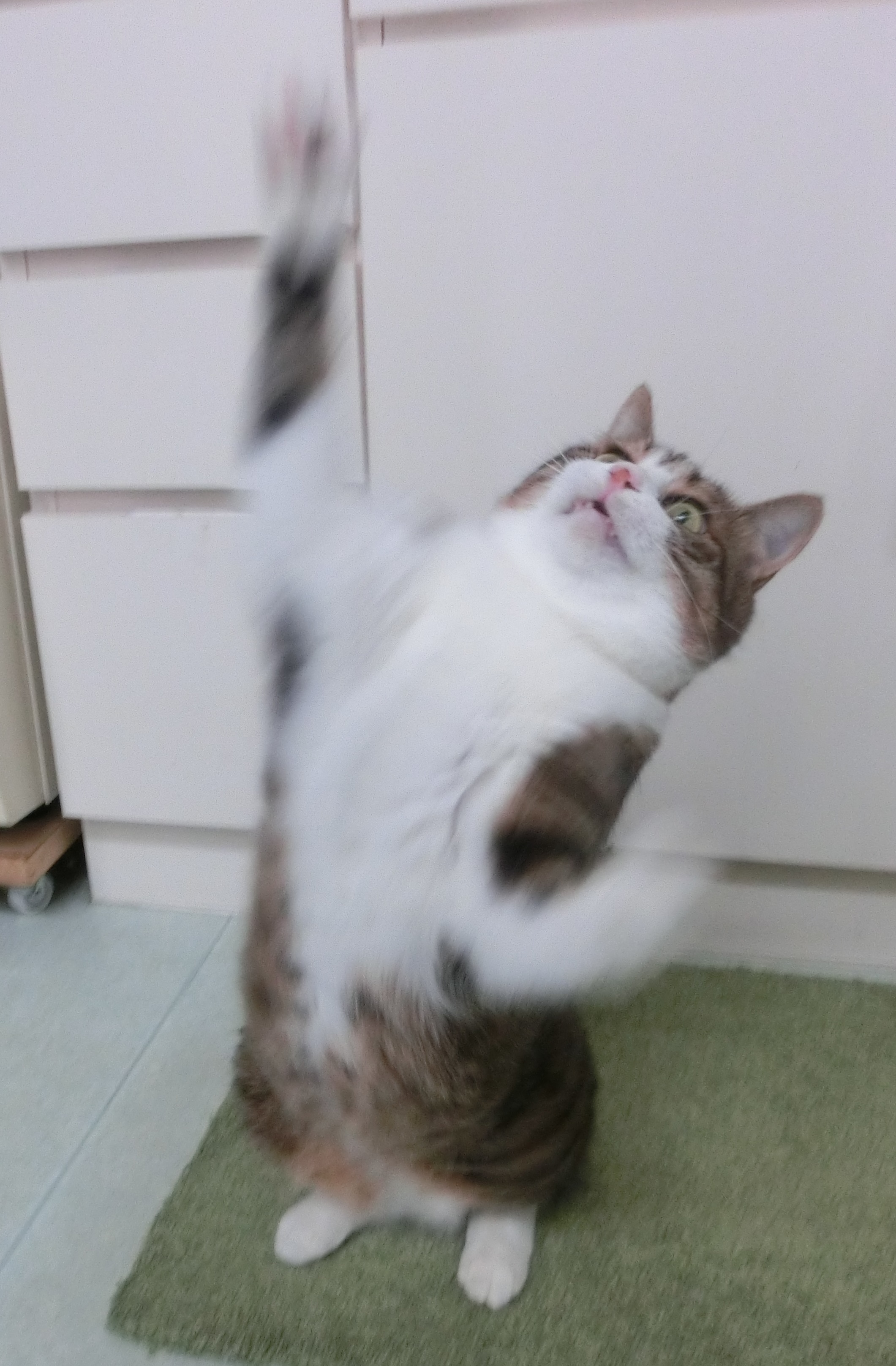 まじのん まじのん