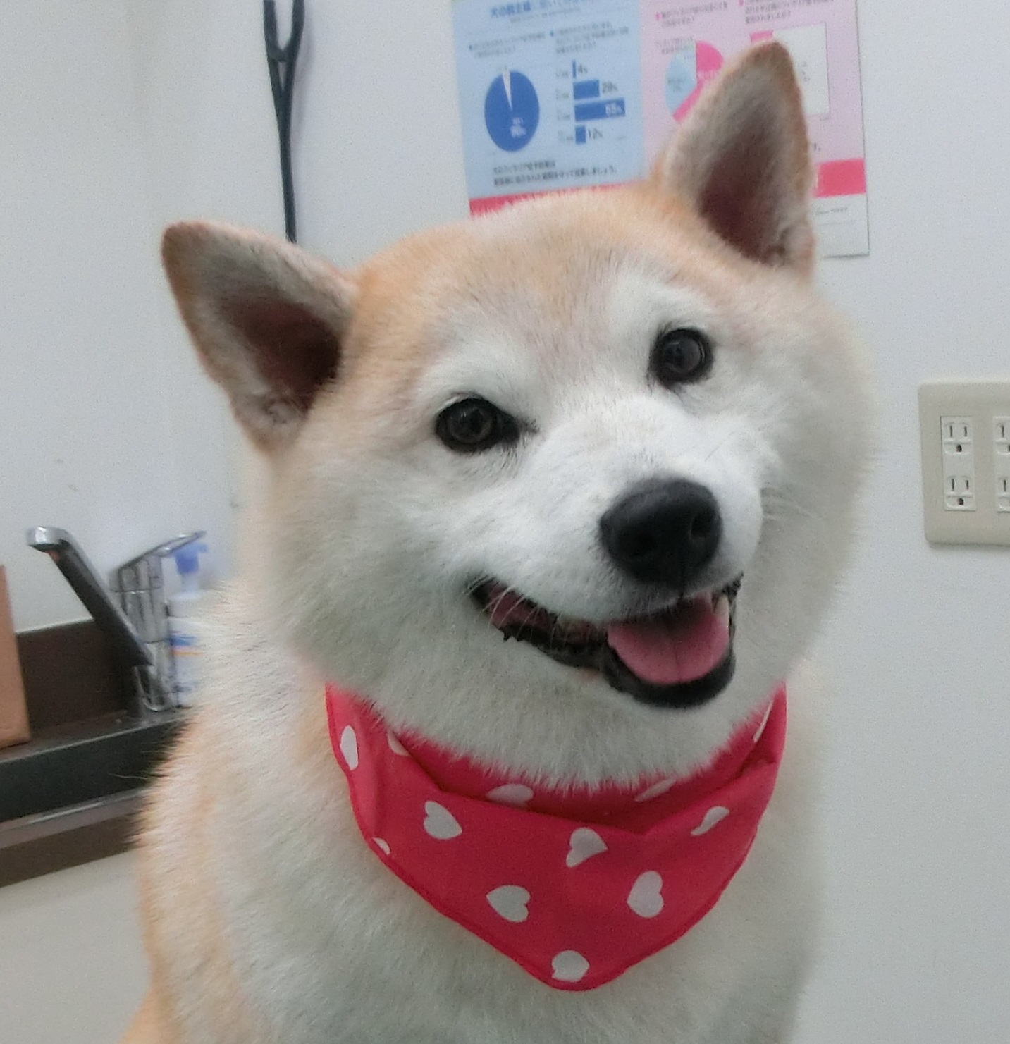 うめちゃん うめちゃん
