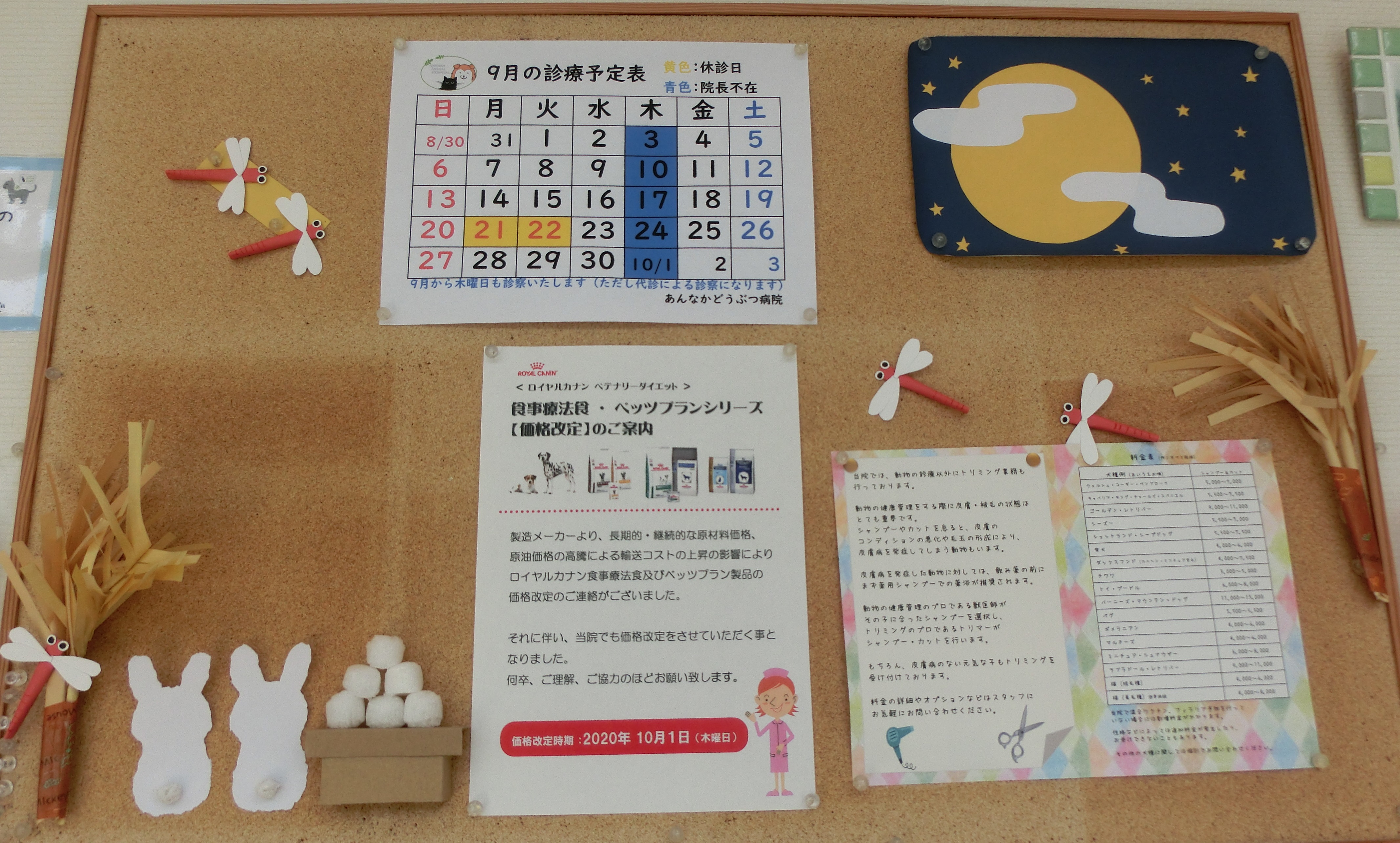 中向け 中向け