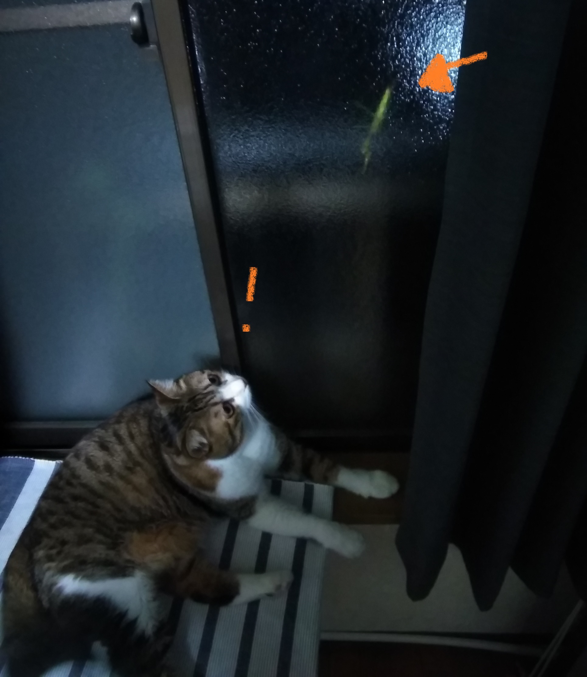 1 1