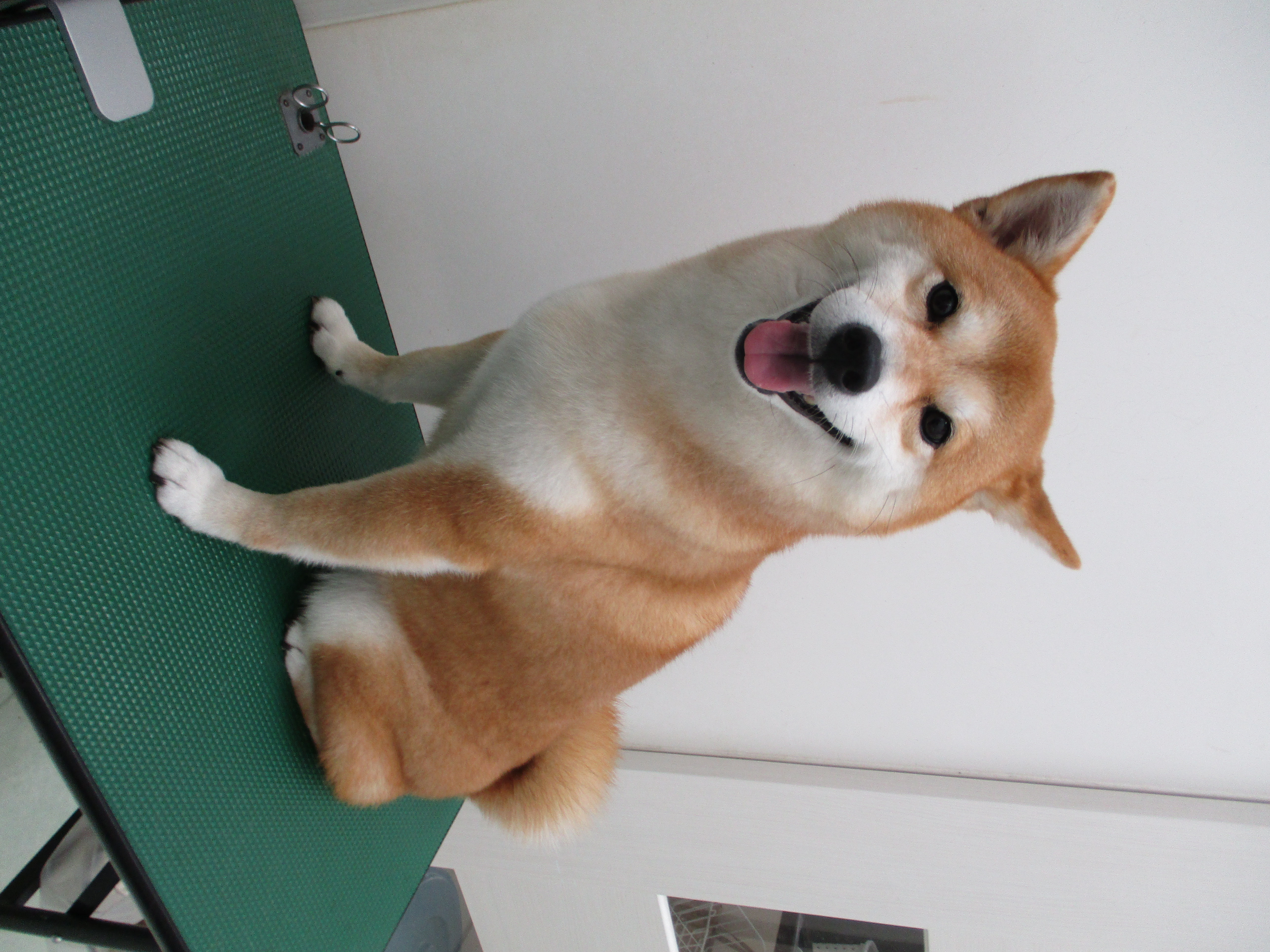 心愛ちゃん 心愛ちゃん
