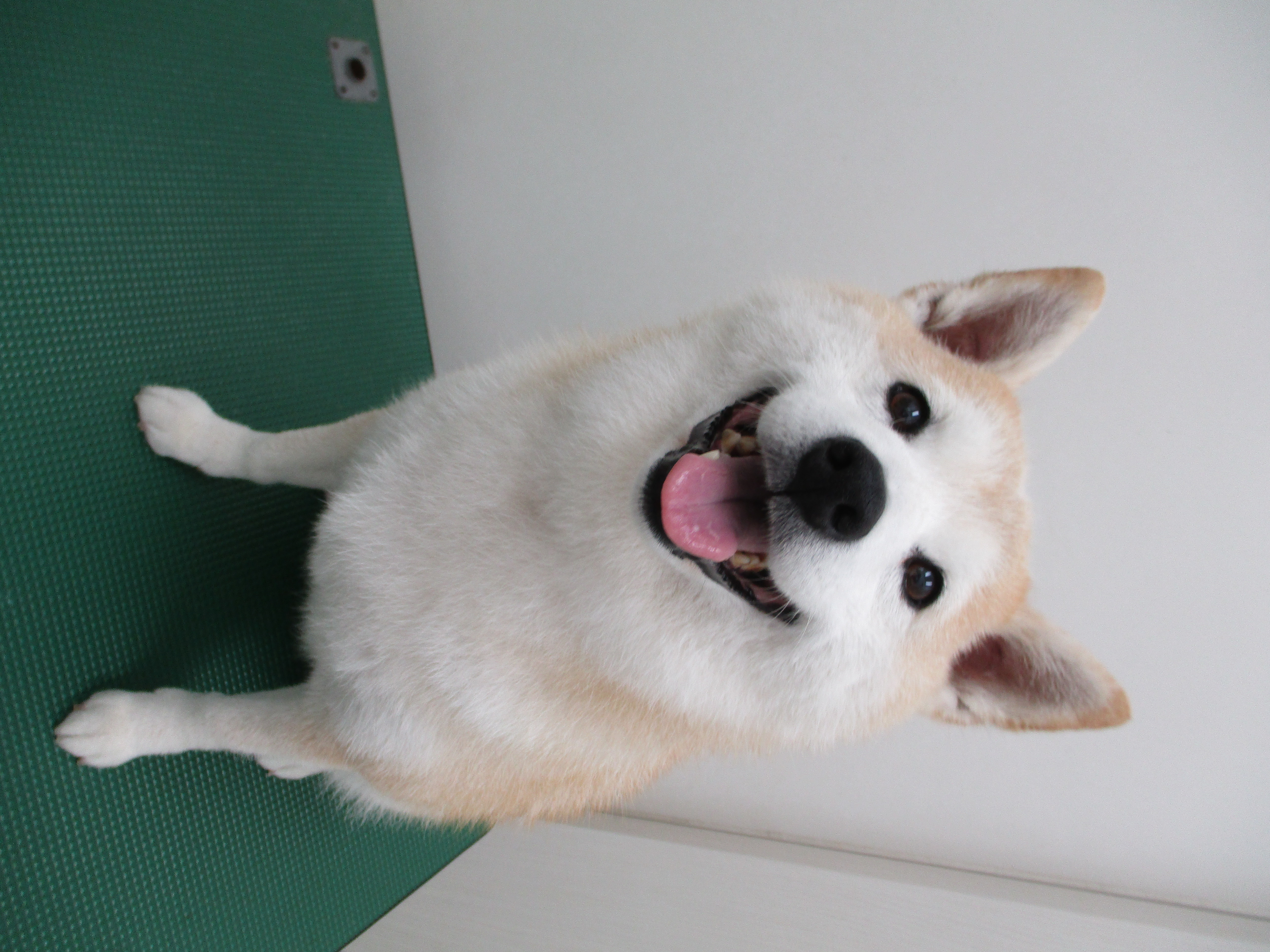 うめちゃん うめちゃん