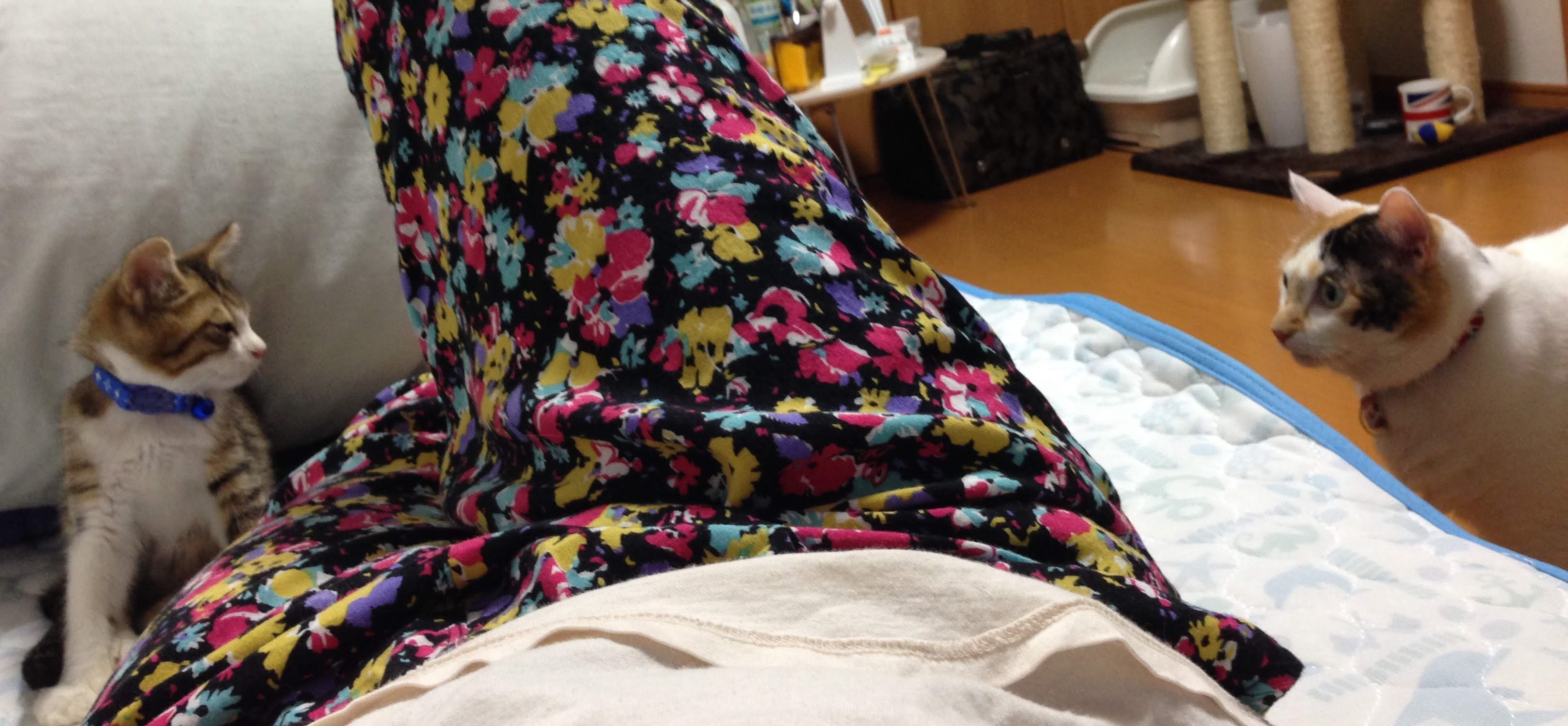 のんちゃく2015 のんちゃく2015