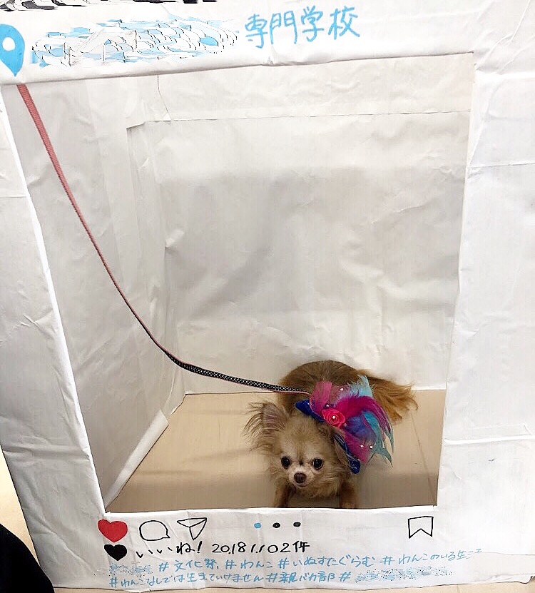 パティー パティー