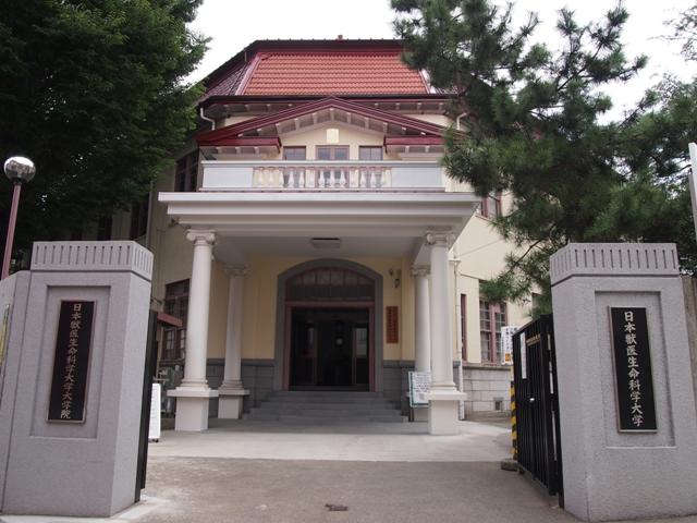 大学 大学