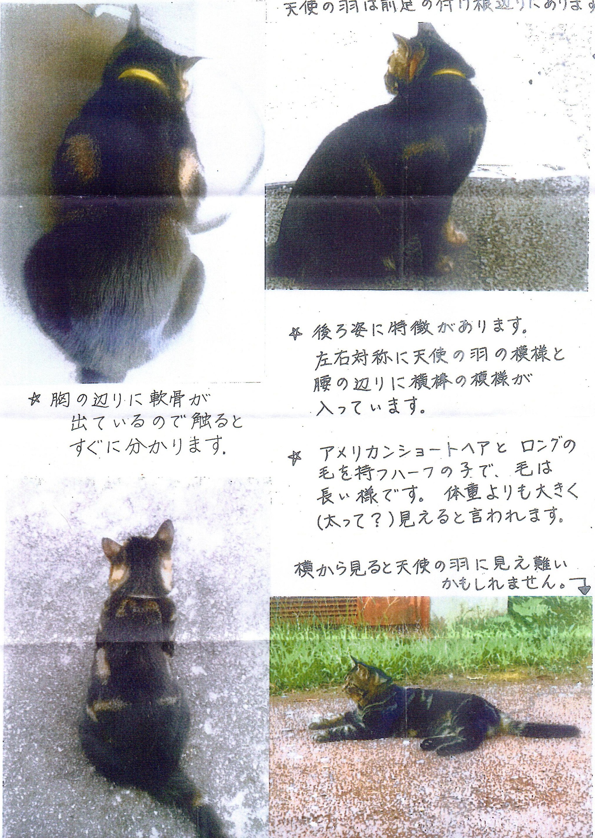 2枚目 2枚目