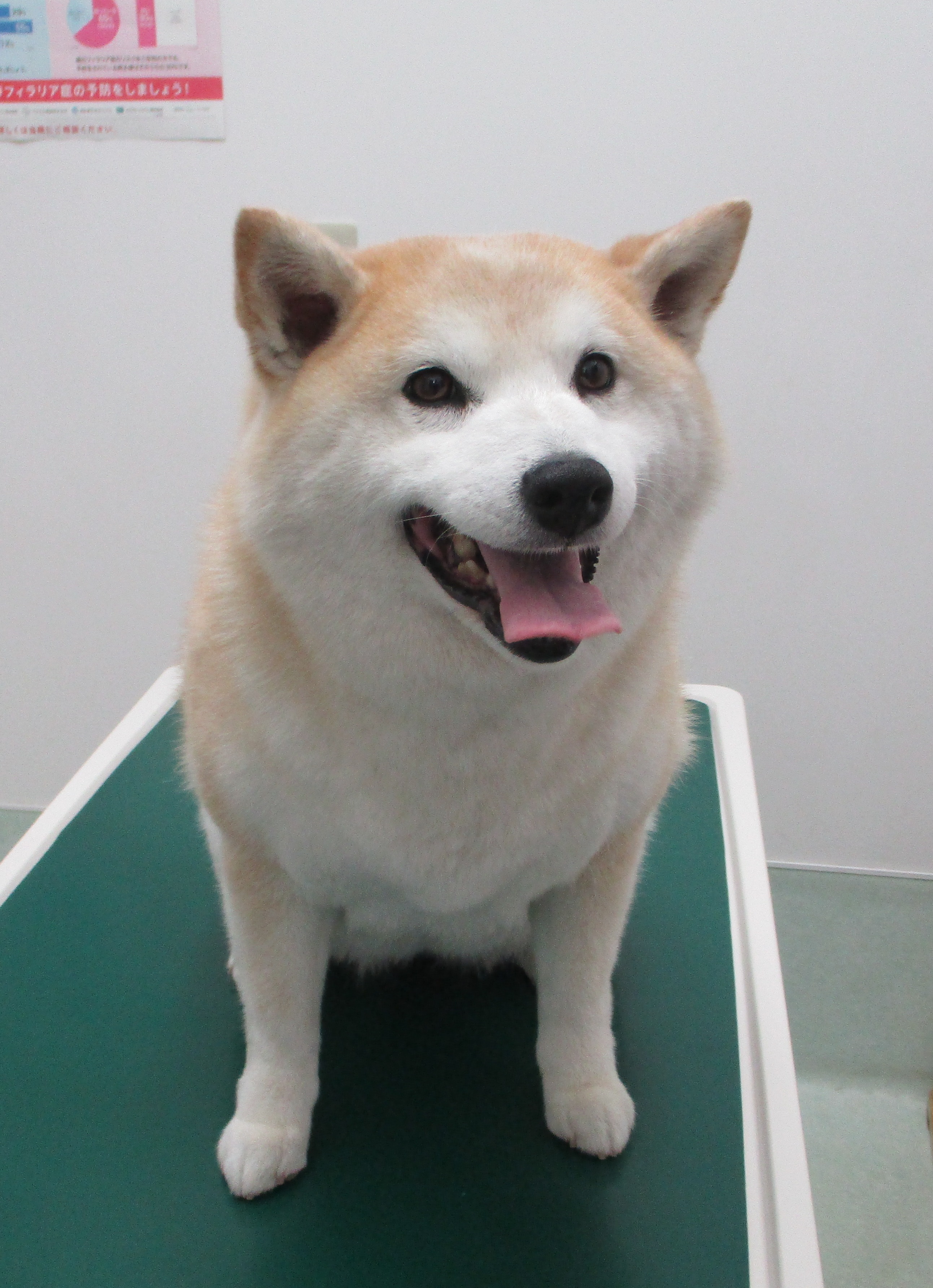 うめちゃん うめちゃん