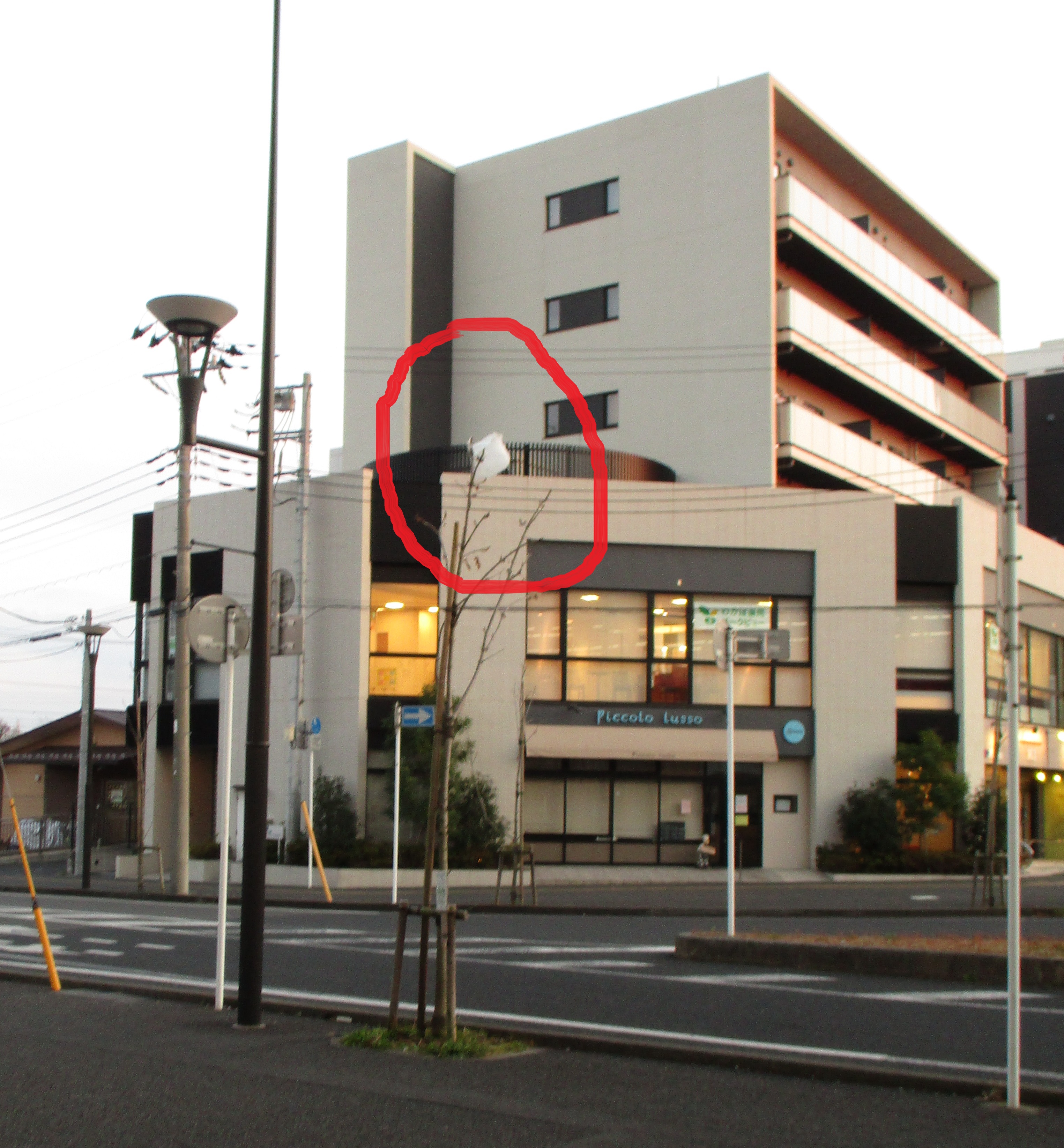 1 1